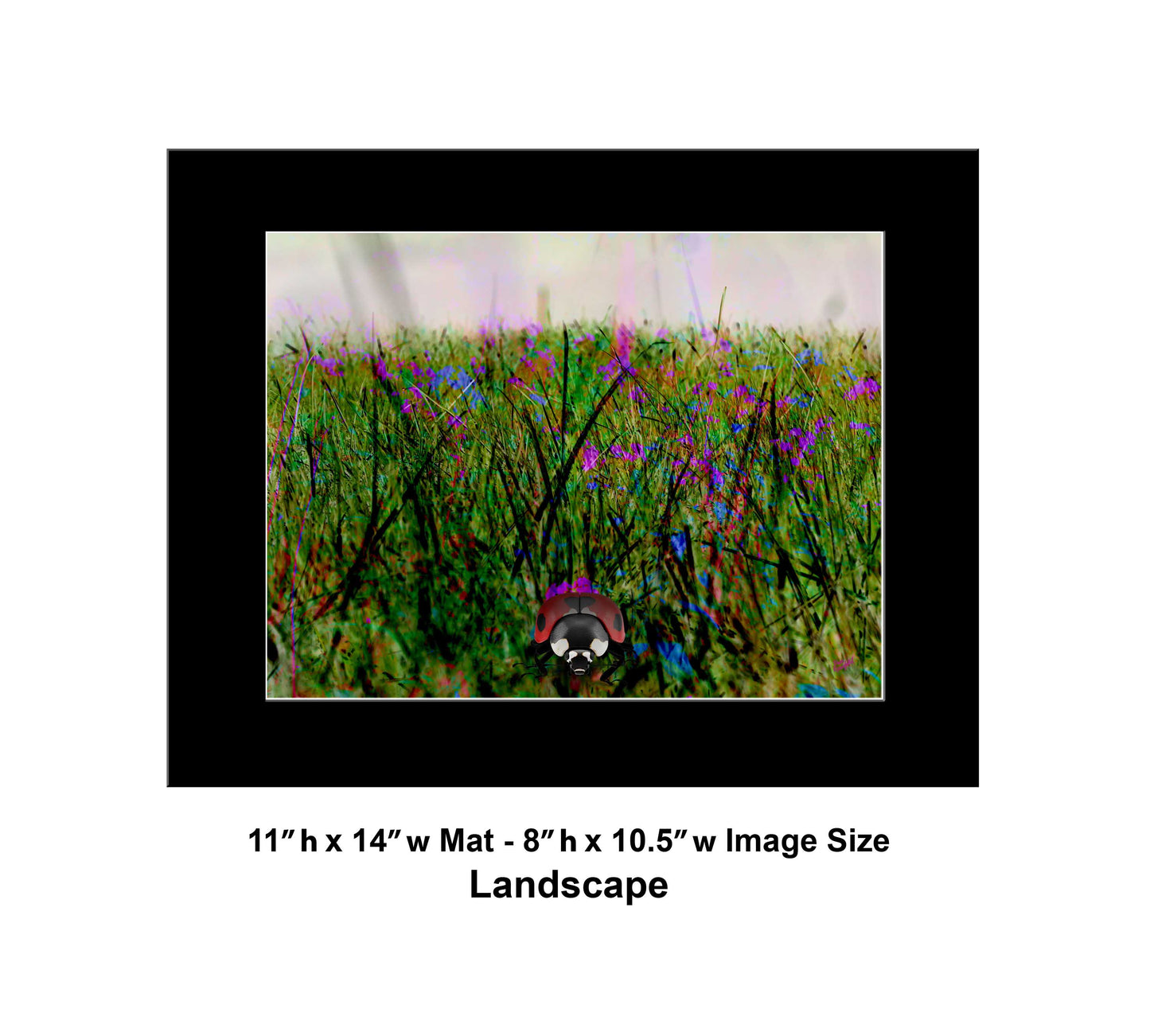 119 Colorful Grass Landscape