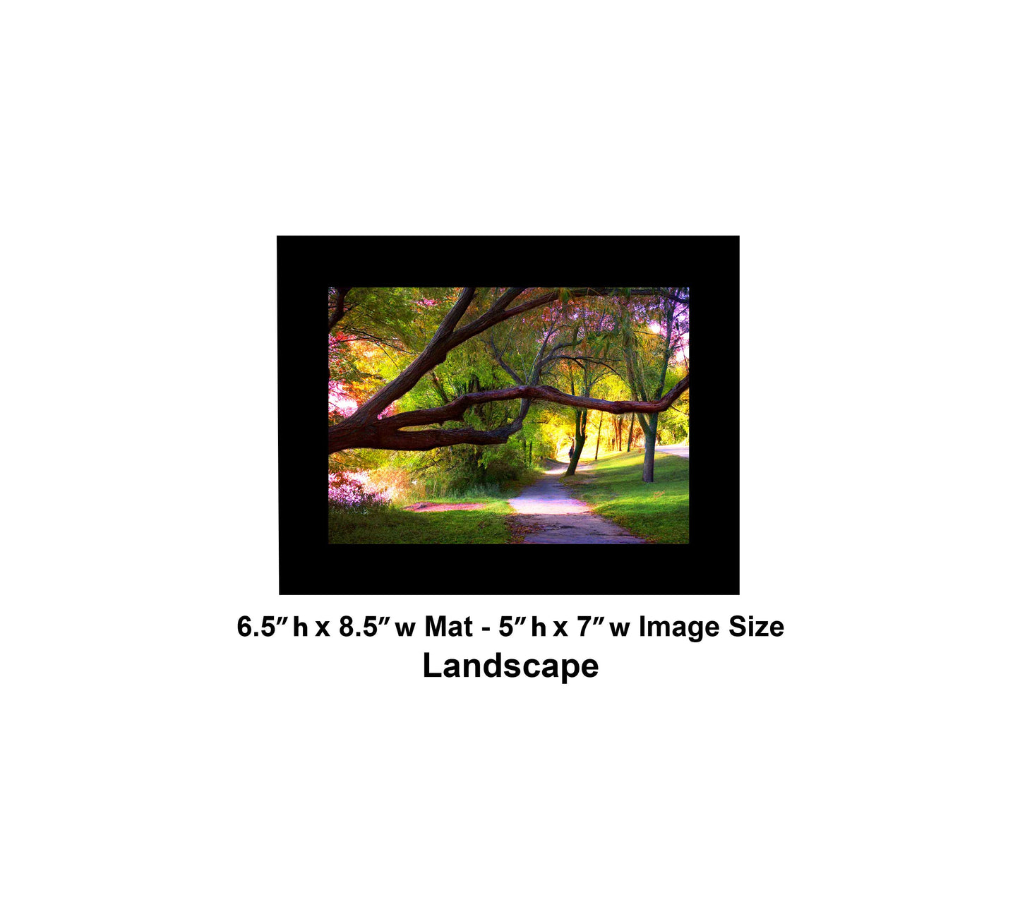 -177-Long-Tree-Path-DSC-0963-1