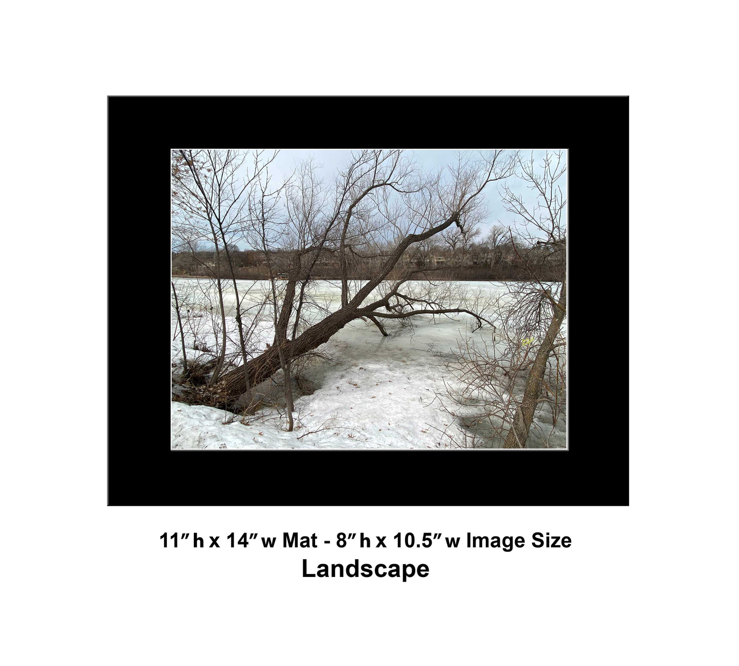 -179-Winter-Tree-Lake-IMG-5574-Original