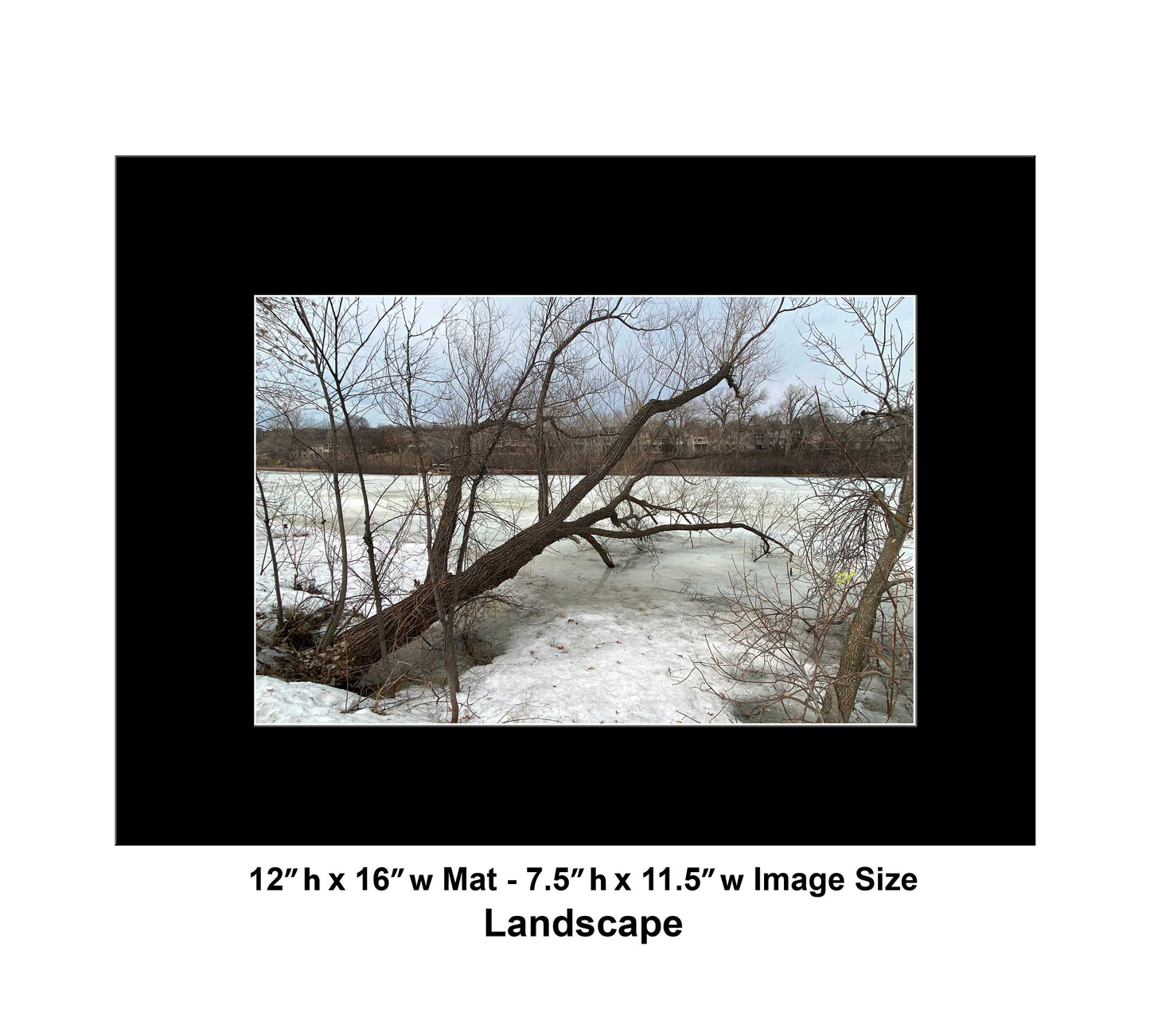 -179-Winter-Tree-Lake-IMG-5574-Original