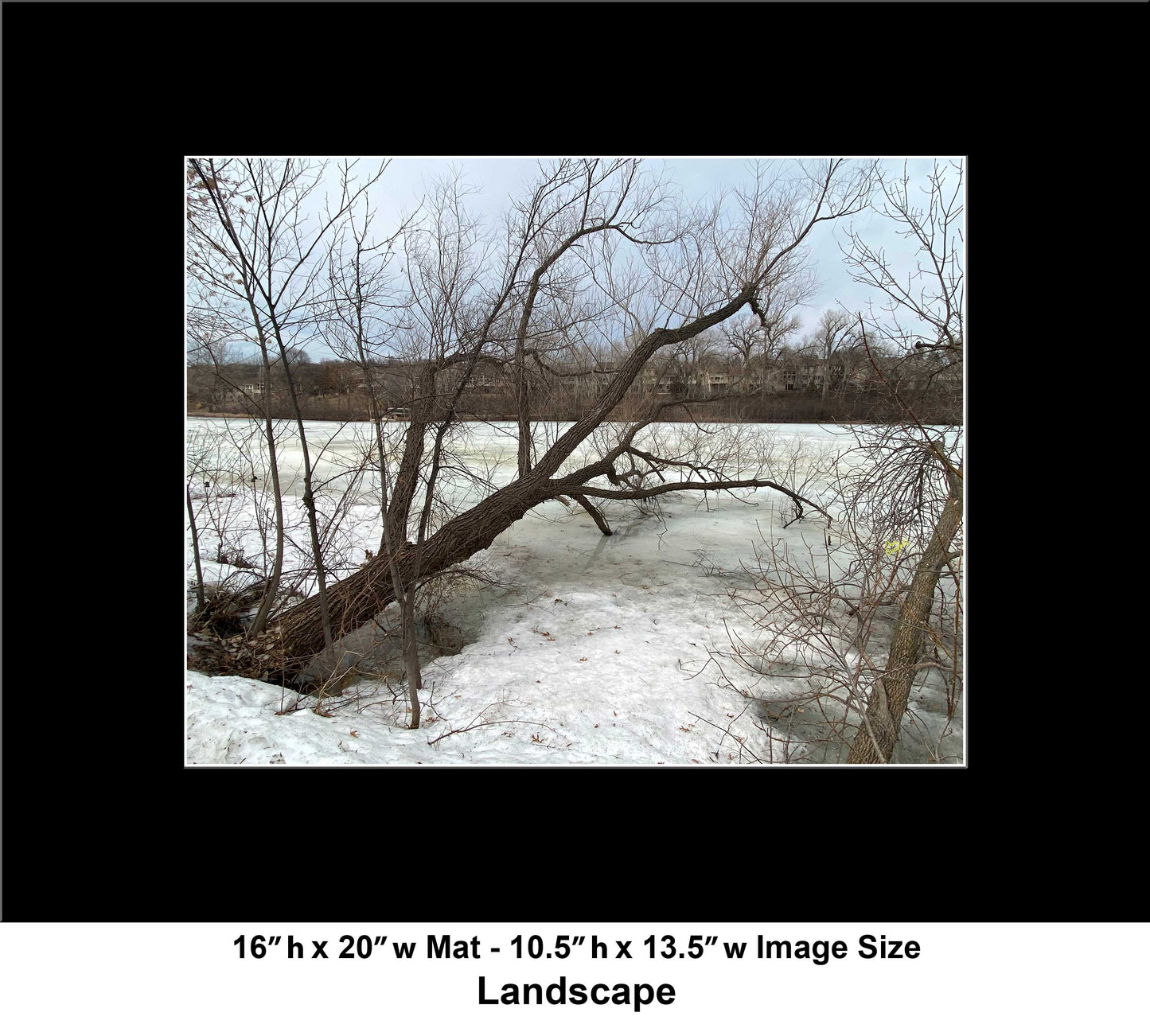 -179-Winter-Tree-Lake-IMG-5574-Original