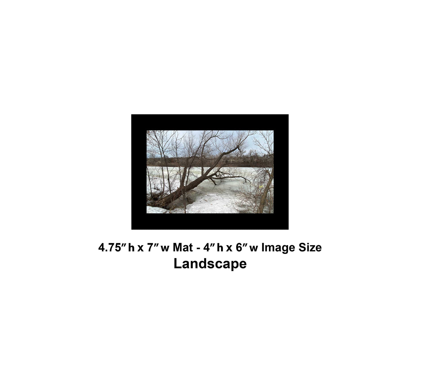-179-Winter-Tree-Lake-IMG-5574-Original