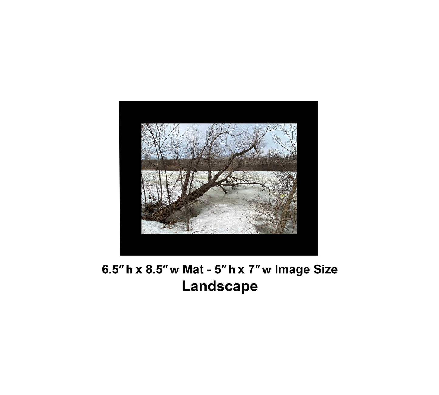 -179-Winter-Tree-Lake-IMG-5574-Original