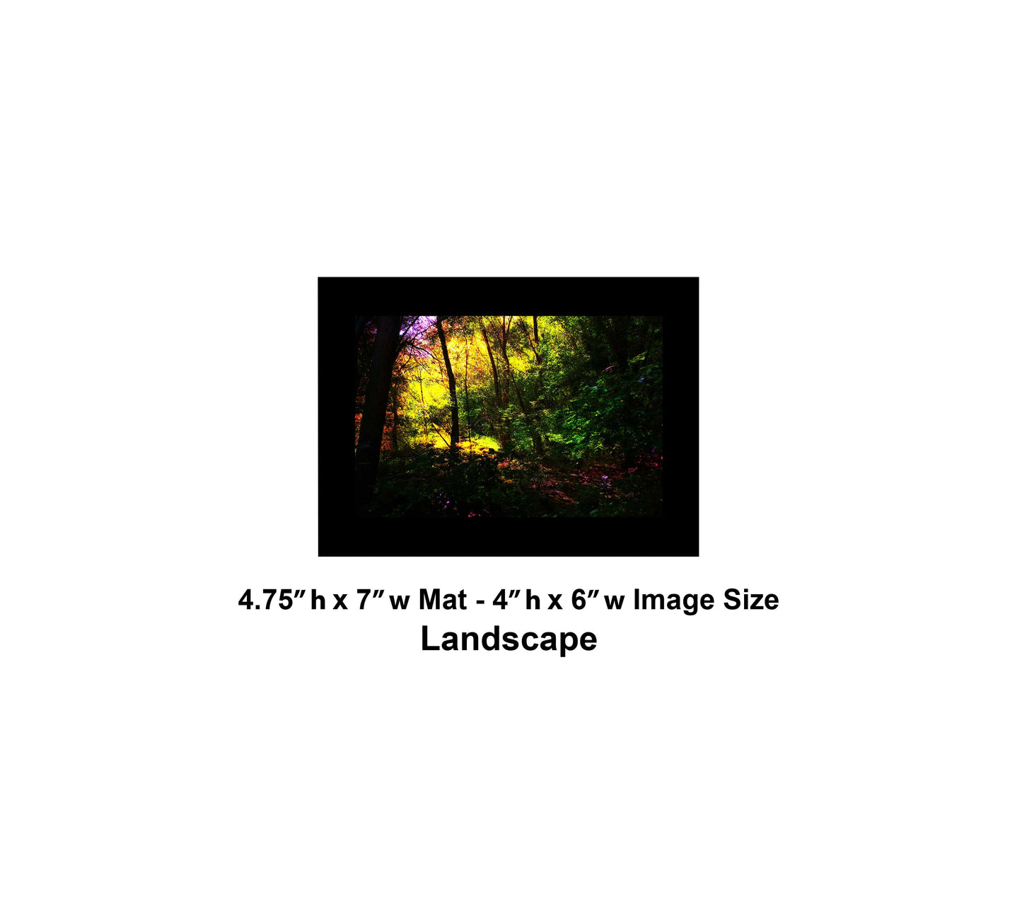 -181-Trees-Green-Sun-IMG-9632