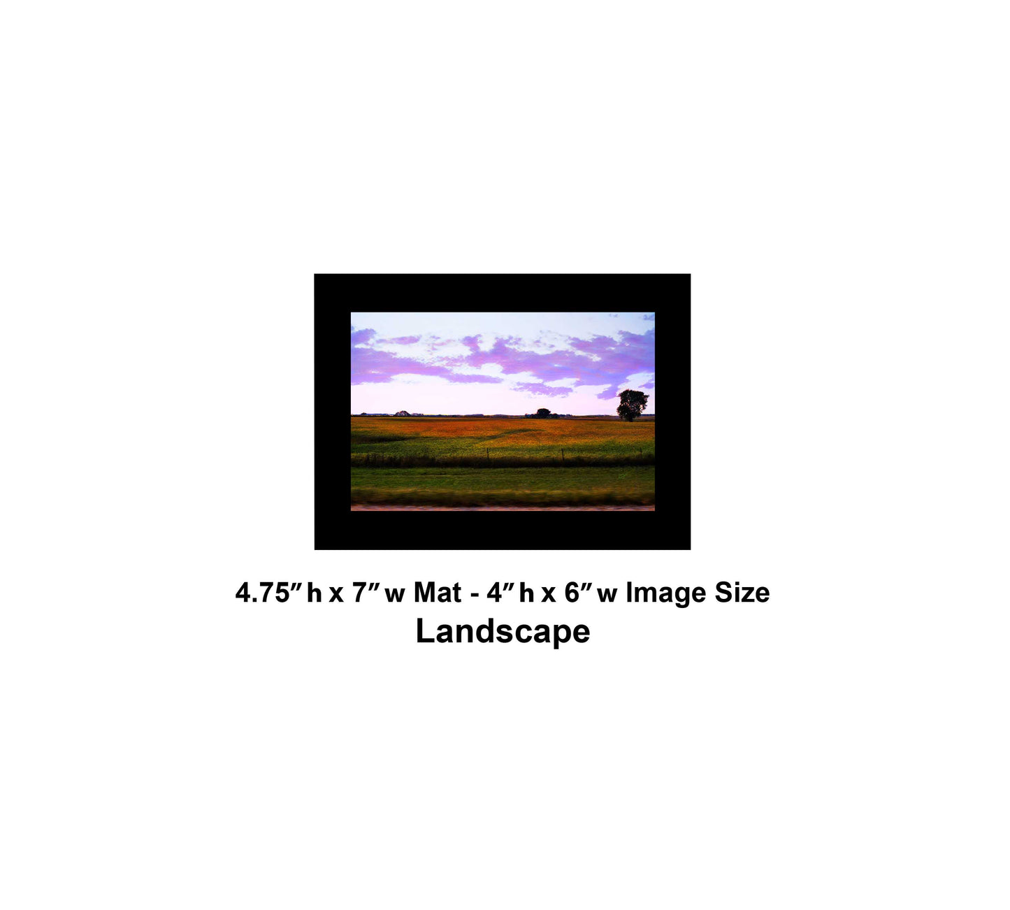 -182-Yellow-Green-Field-DSC-2512