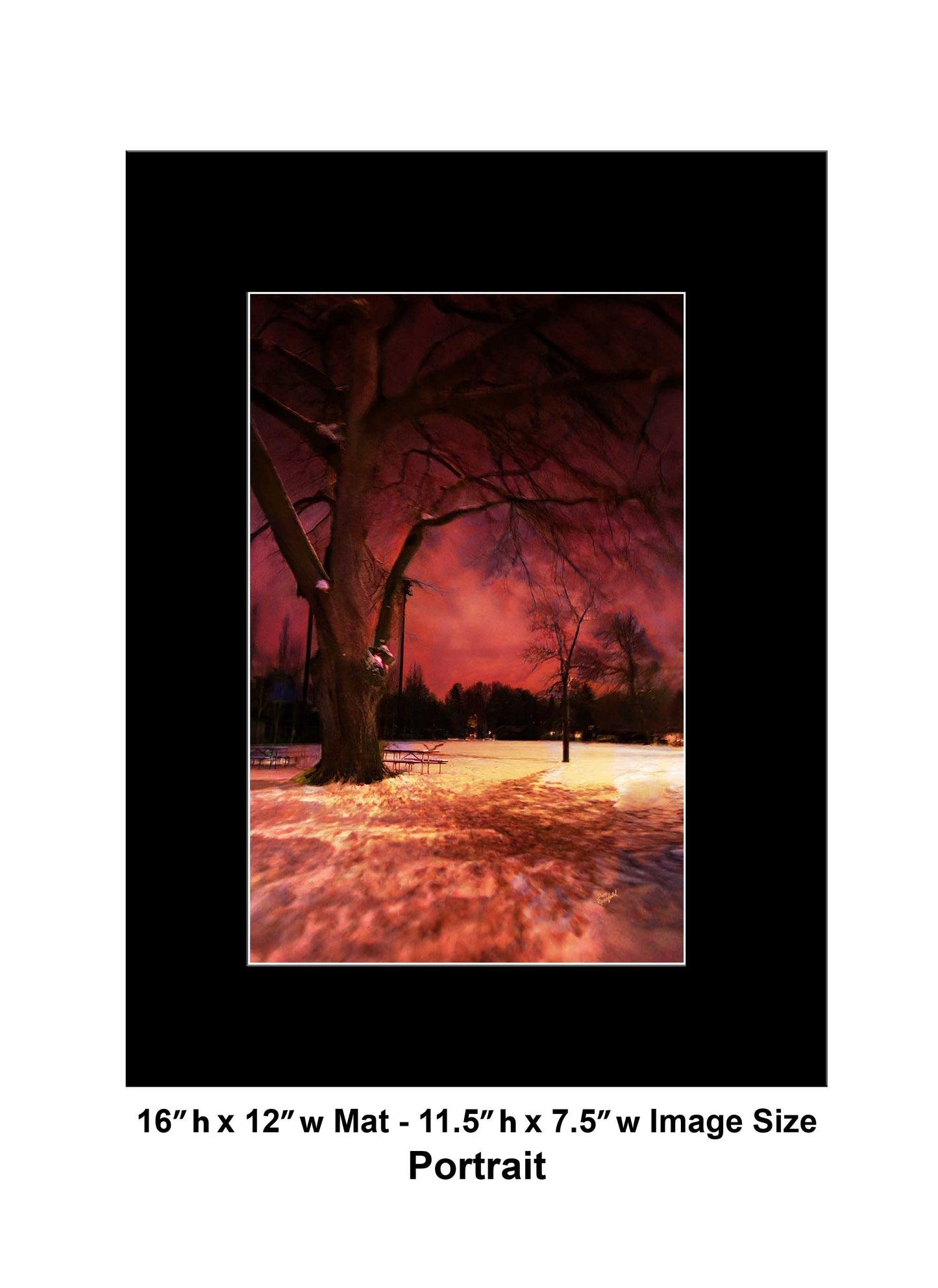 -183-Dark-Tree-Snow-IMG-0654