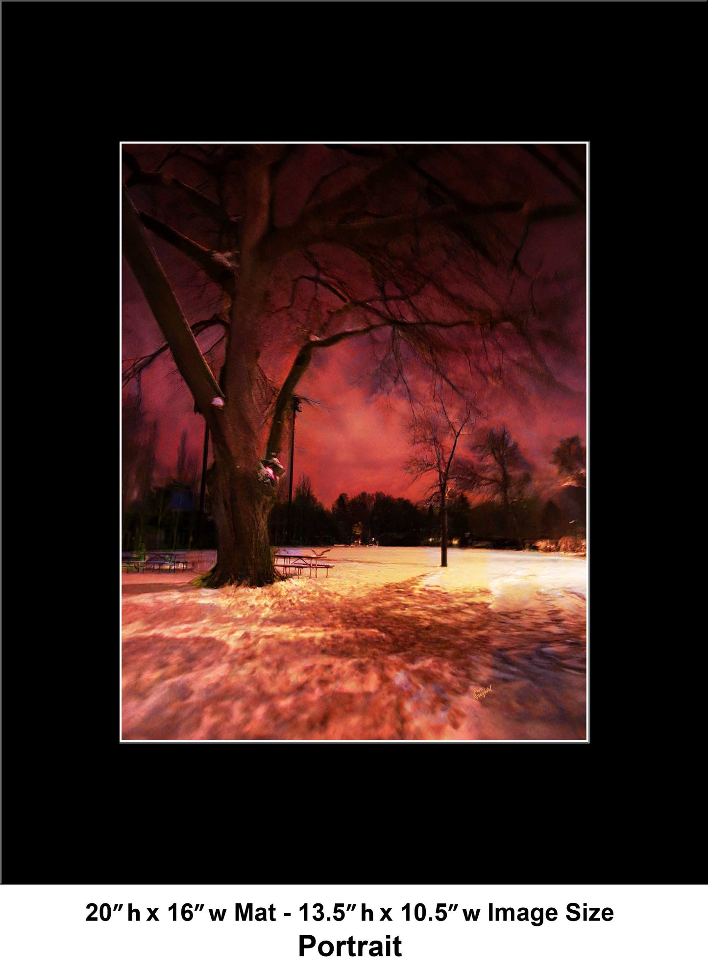 -183-Dark-Tree-Snow-IMG-0654