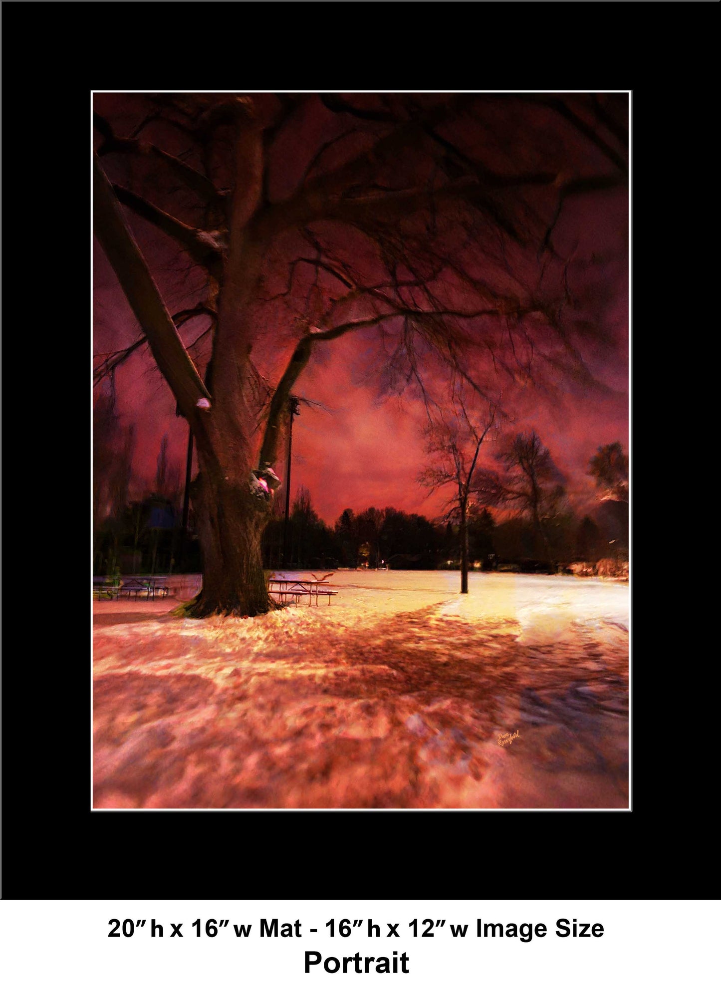 -183-Dark-Tree-Snow-IMG-0654