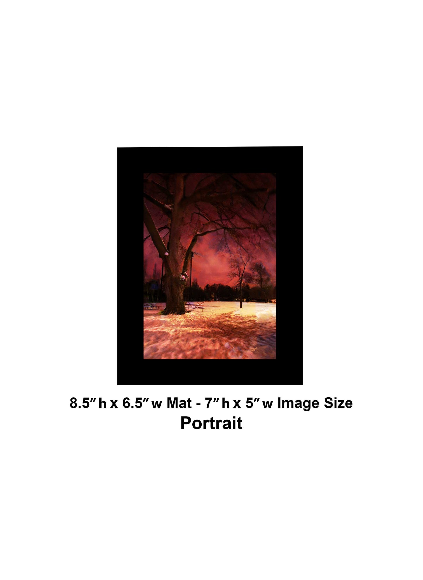 -183-Dark-Tree-Snow-IMG-0654
