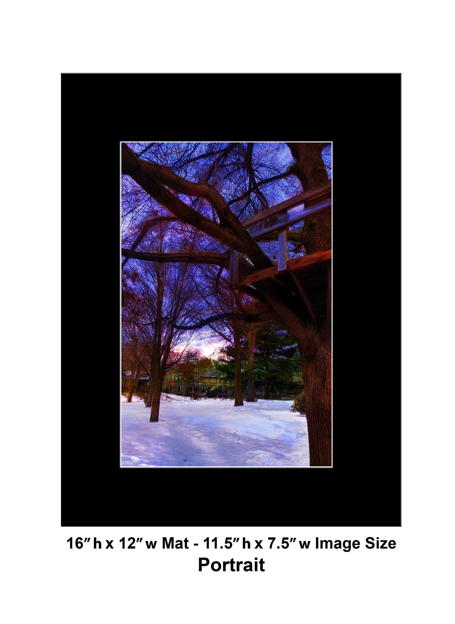 -185-Tree-House-IMG-1110