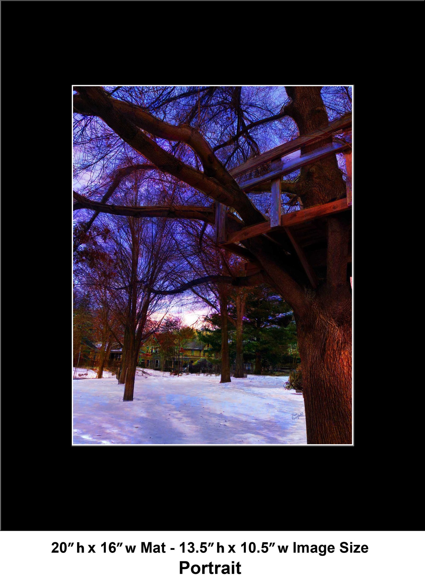 -185-Tree-House-IMG-1110