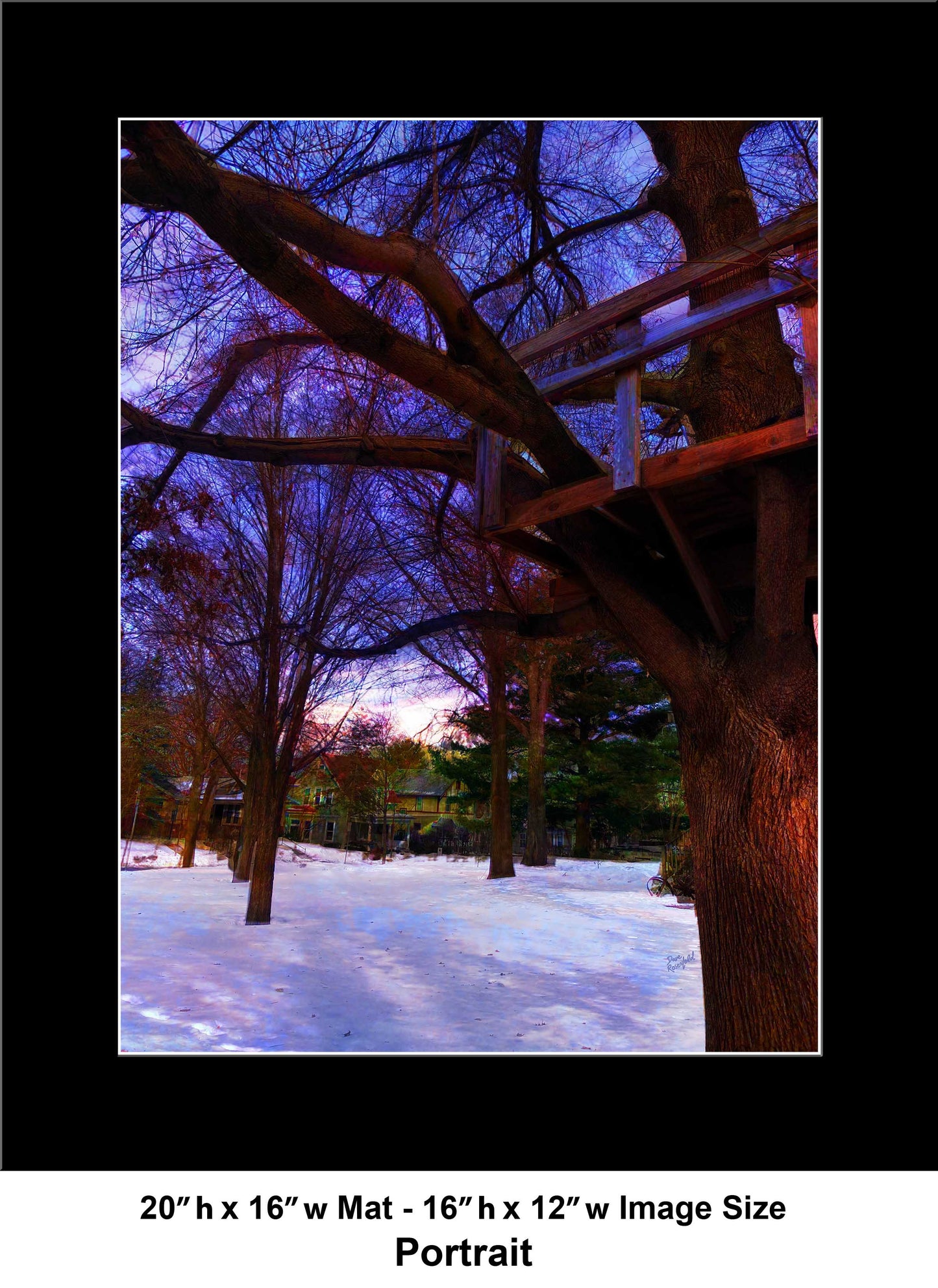 -185-Tree-House-IMG-1110