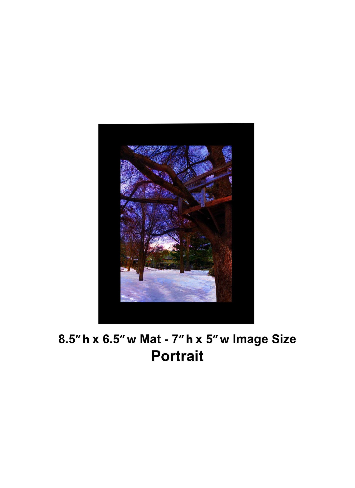 -185-Tree-House-IMG-1110