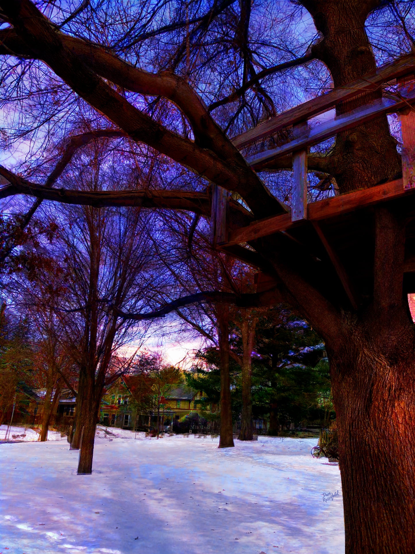 -185-Tree-House-IMG-1110