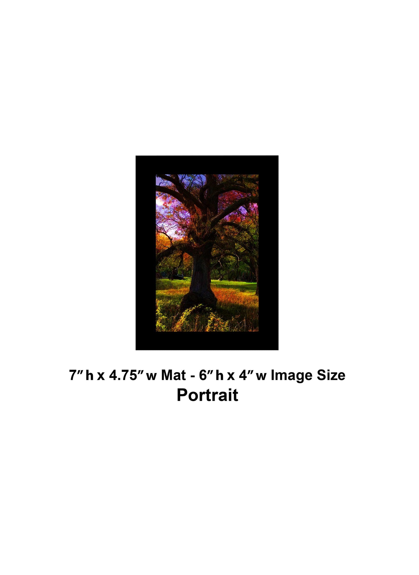 -193-Spring-Tree-Close-IMG-6876