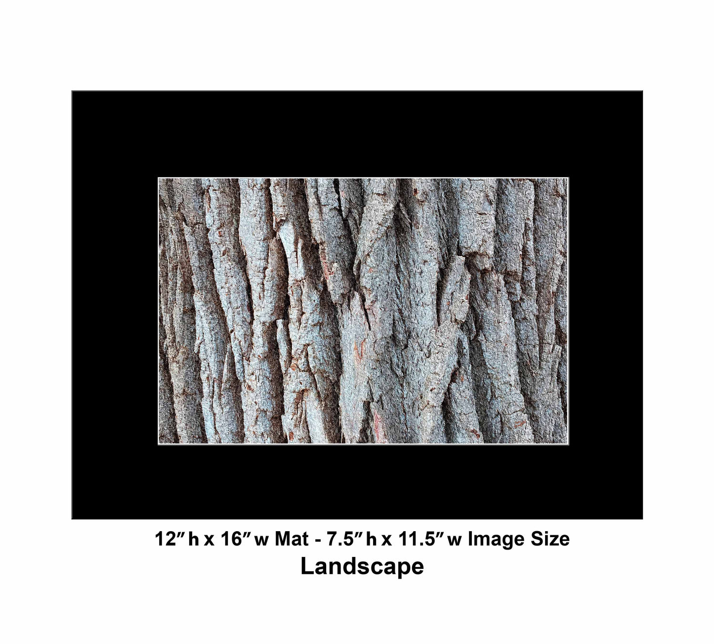 20 Tree Natural IMG_2505