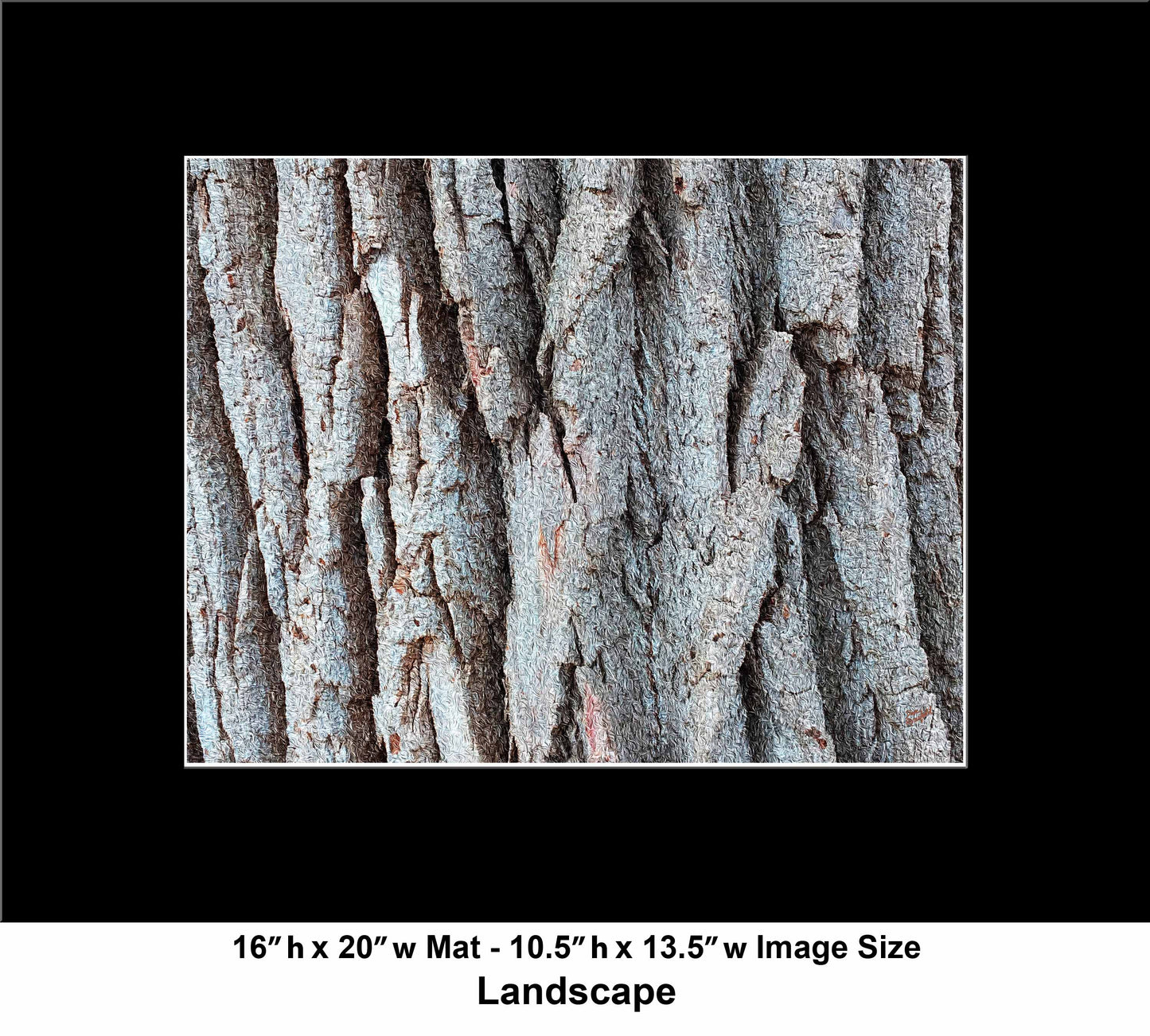 20 Tree Natural IMG_2505