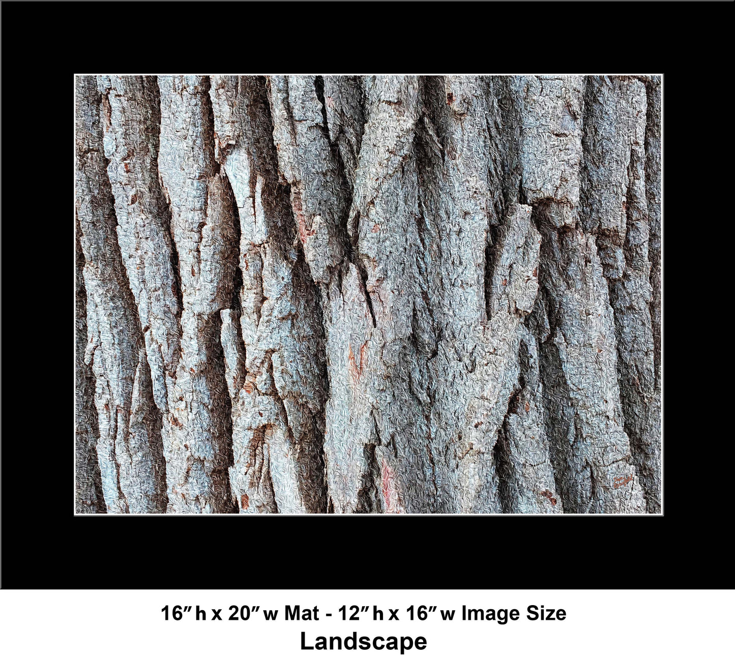 20 Tree Natural IMG_2505