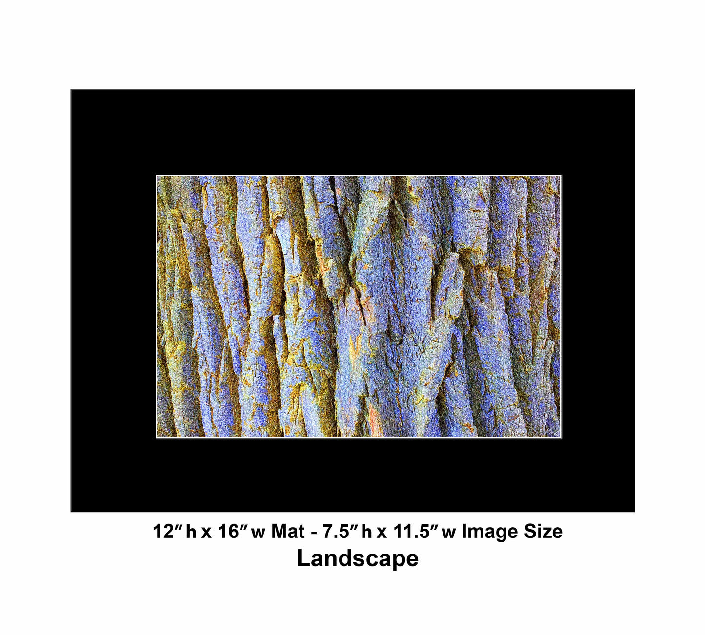 22 Tree Yellow Purple IMG_2505
