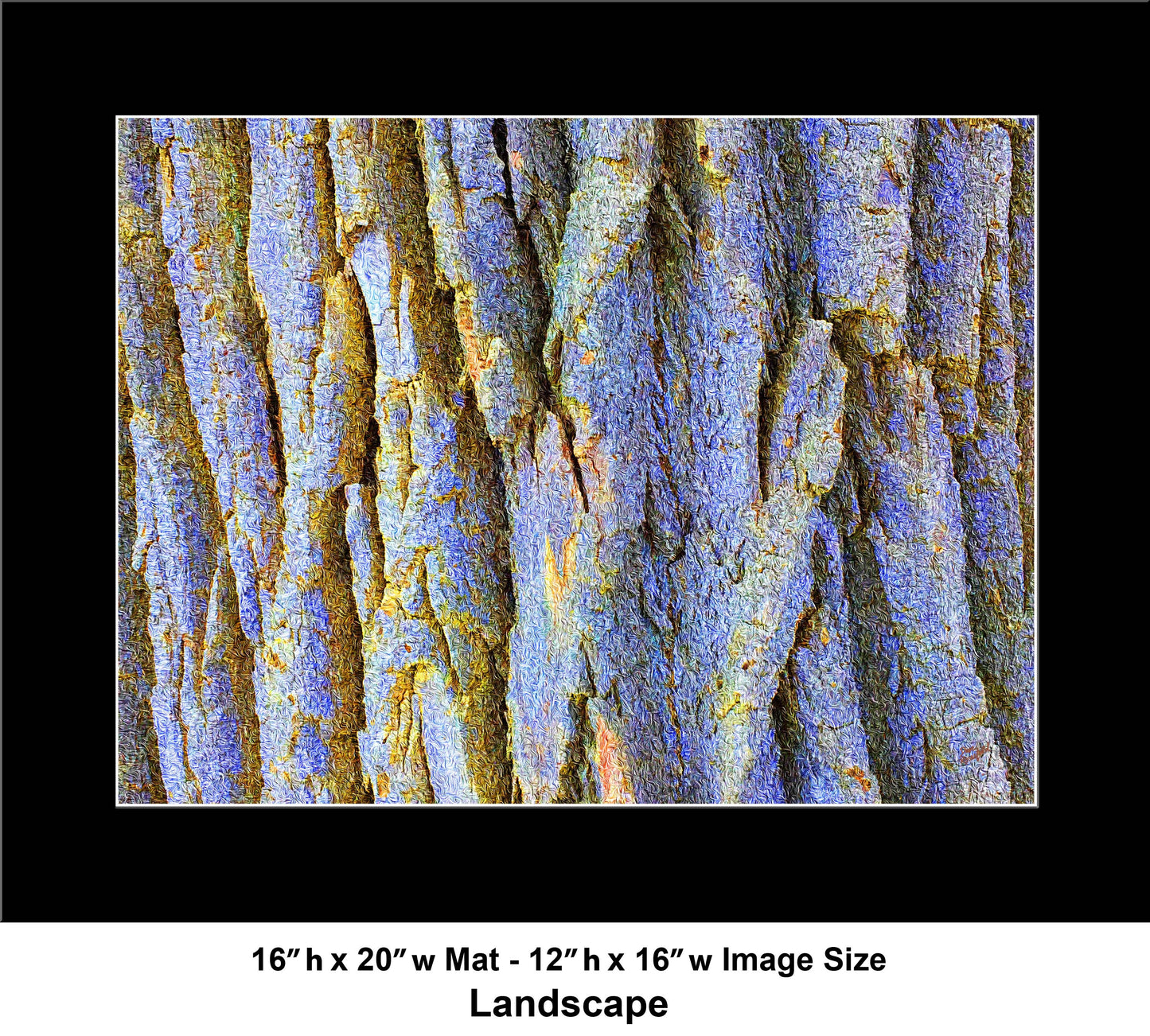 22 Tree Yellow Purple IMG_2505