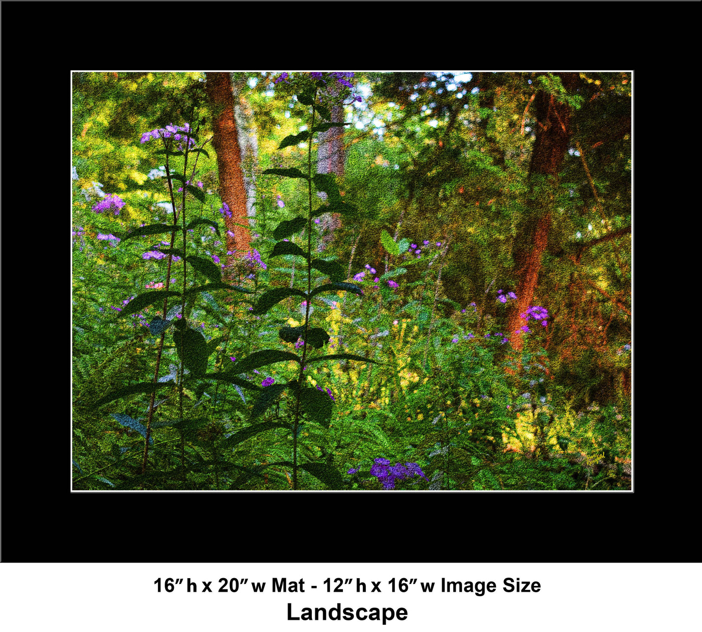 40 Forest Look DSC_0238