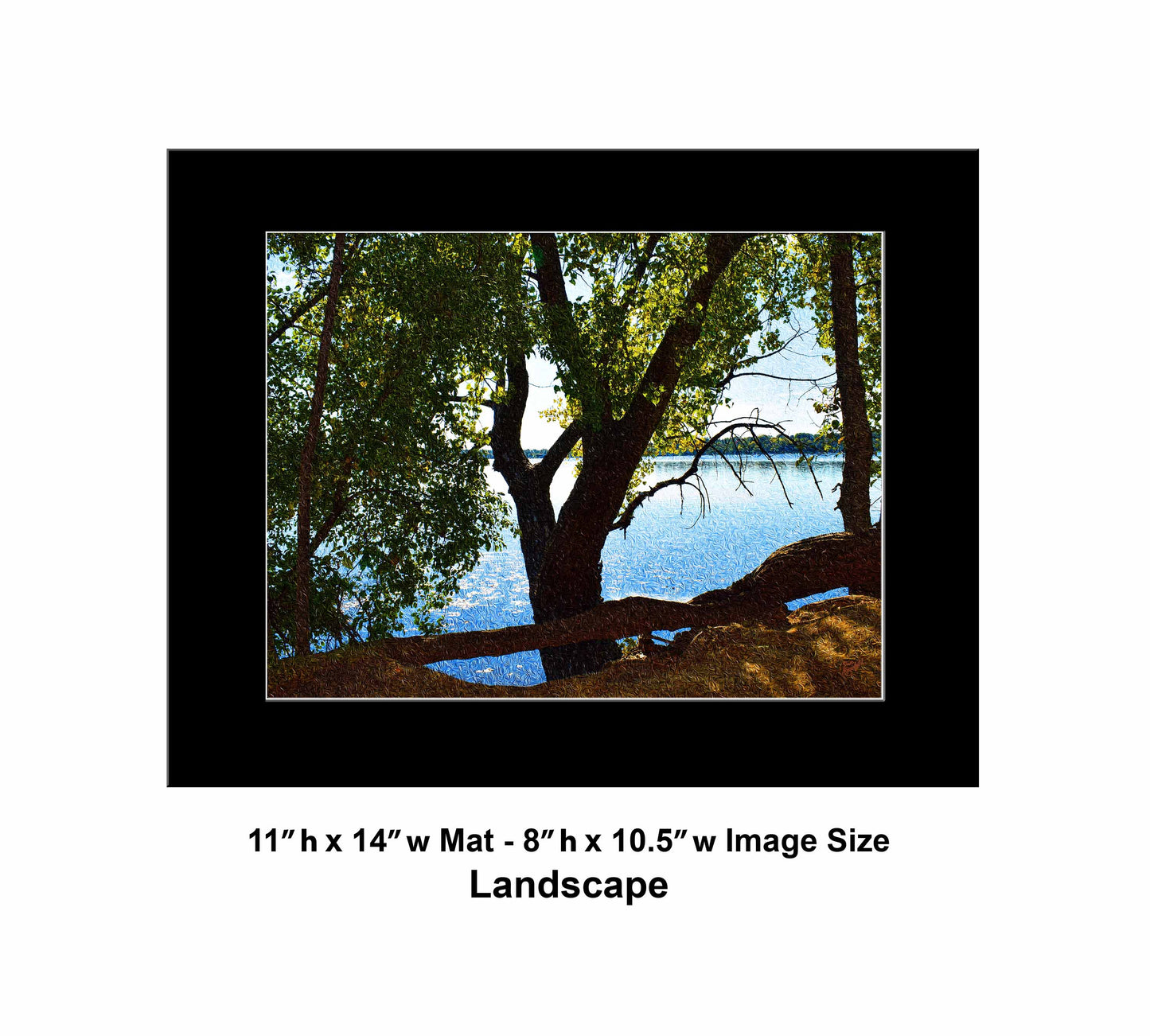 49 Shadow Tree Lake DSC_0964