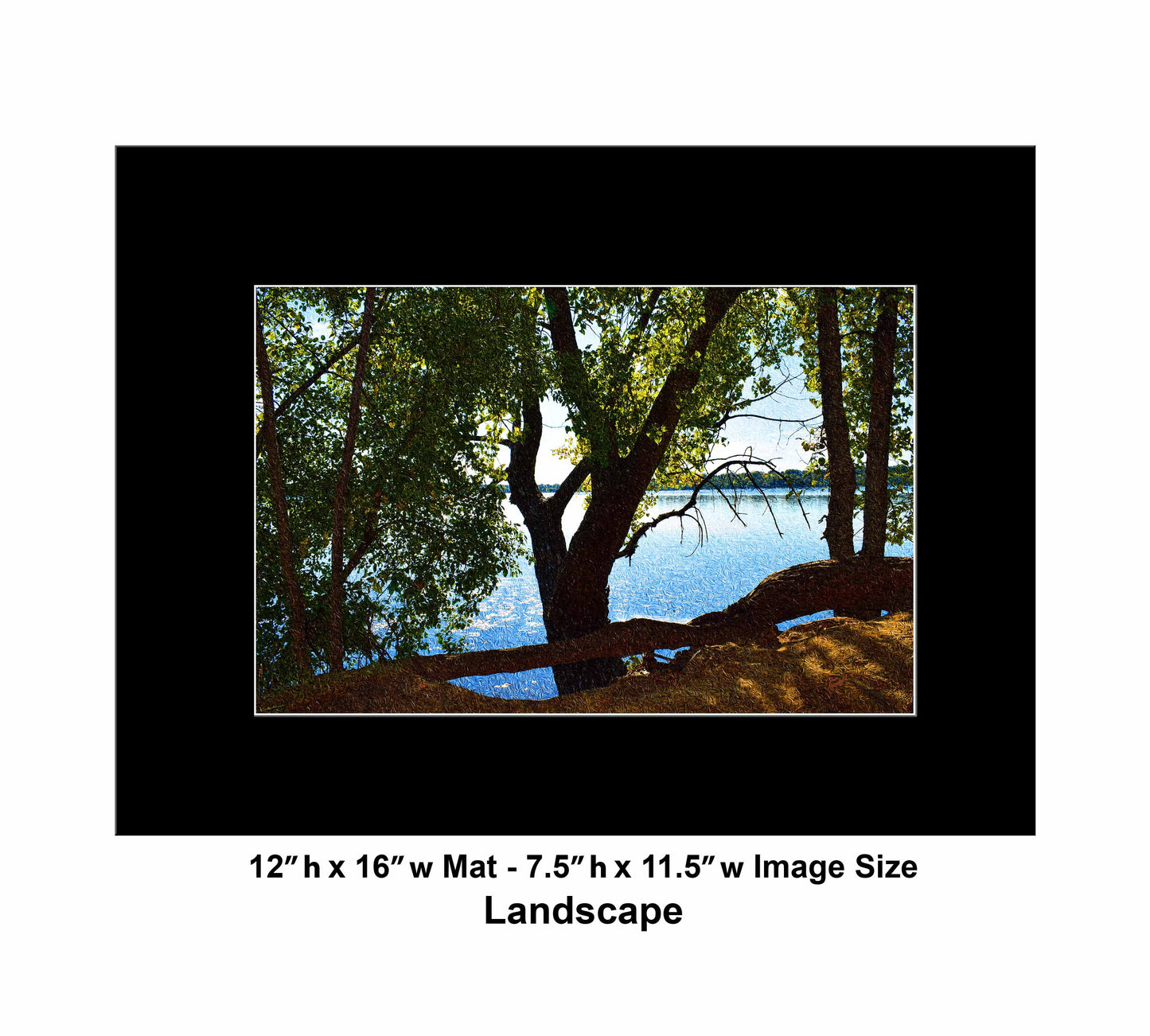 49 Shadow Tree Lake DSC_0964