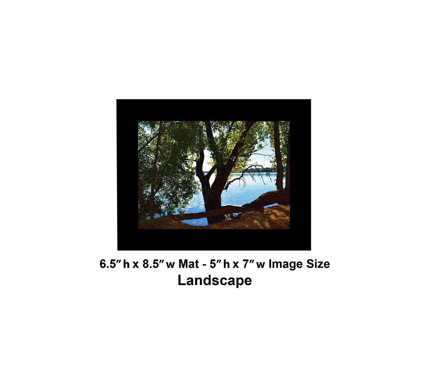 49 Shadow Tree Lake DSC_0964