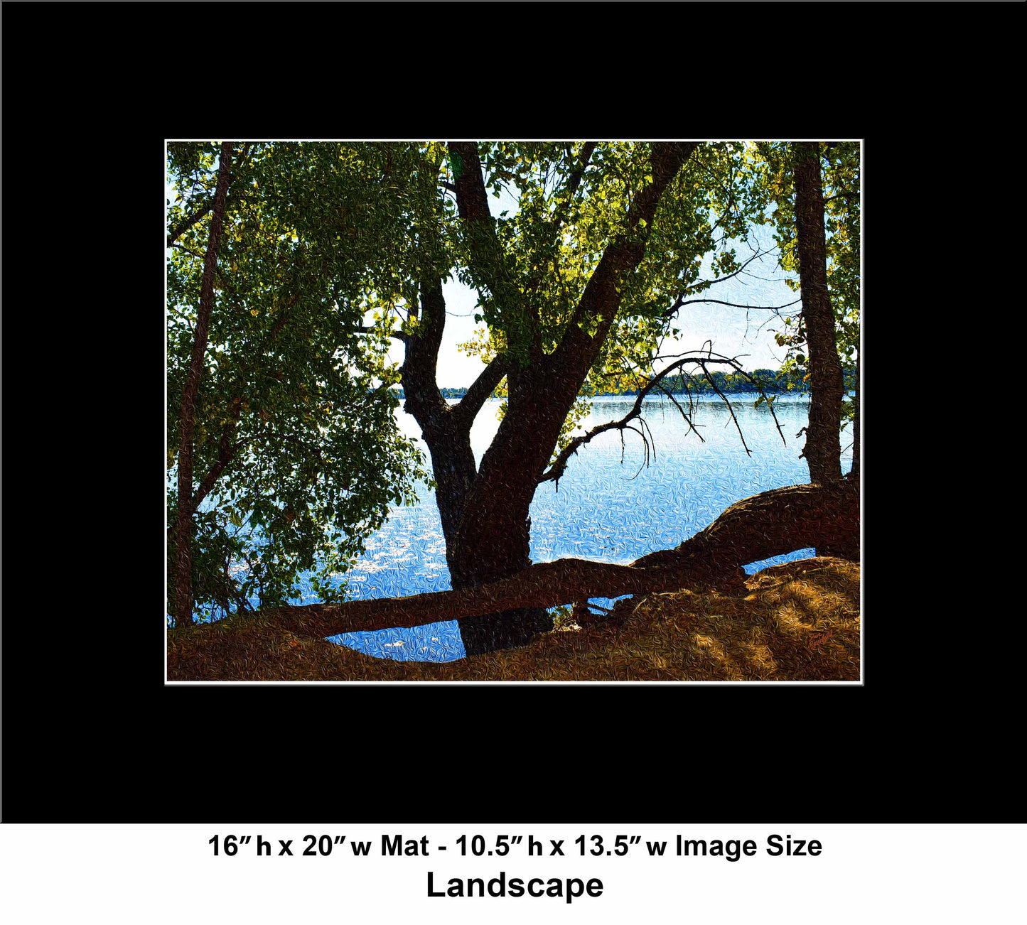 49 Shadow Tree Lake DSC_0964