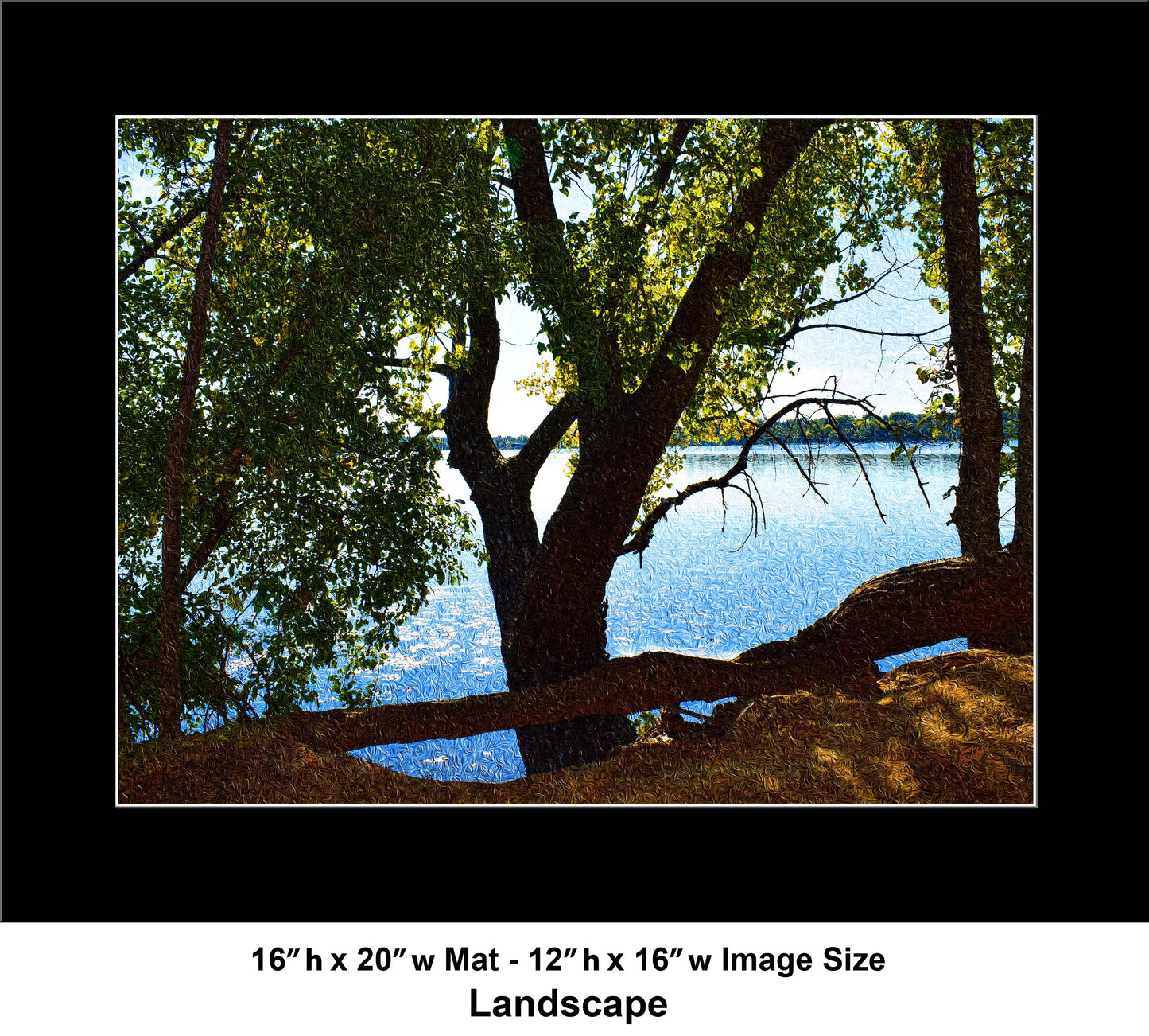 49 Shadow Tree Lake DSC_0964