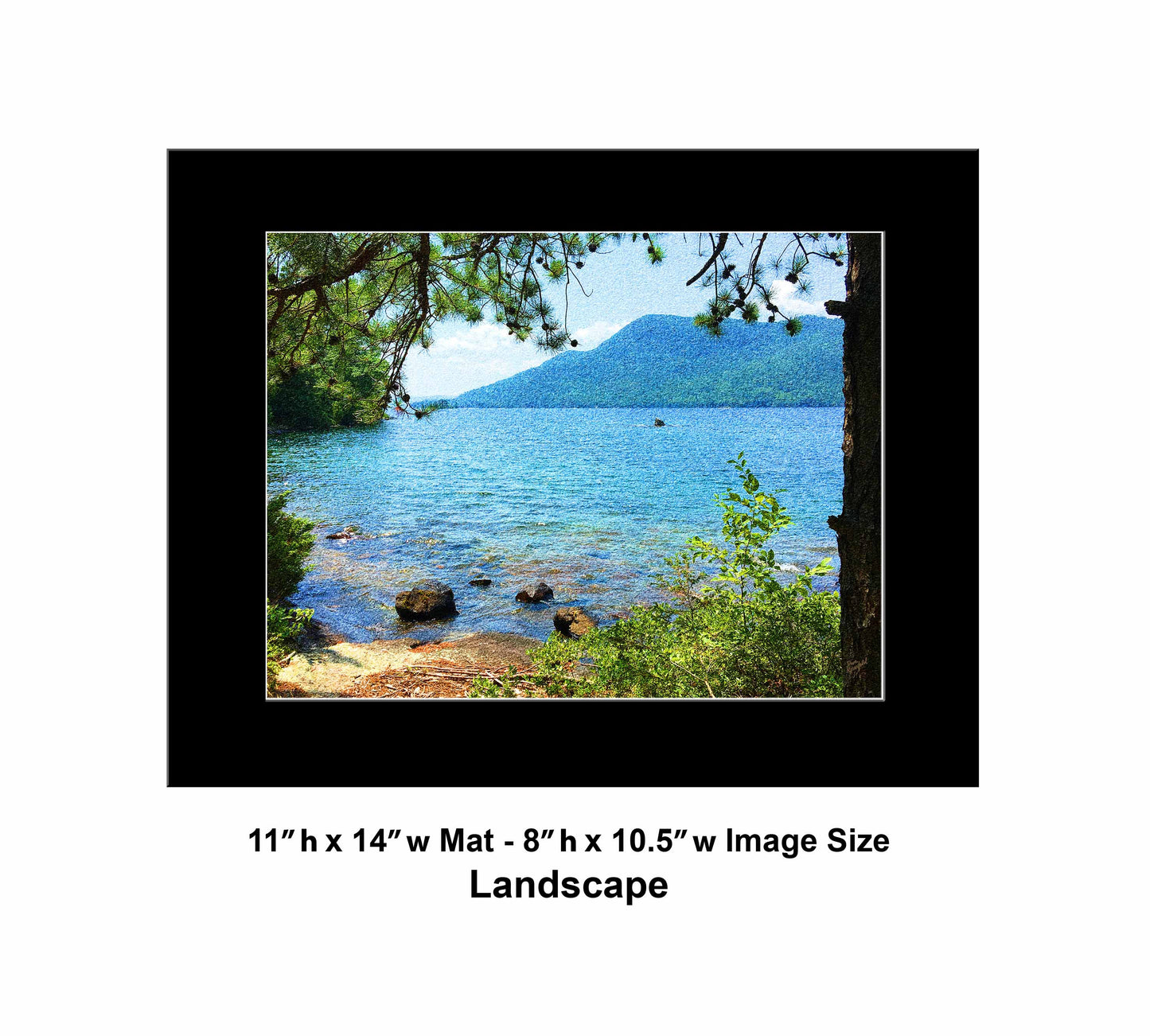 71 Tree Lake View IMG_3560