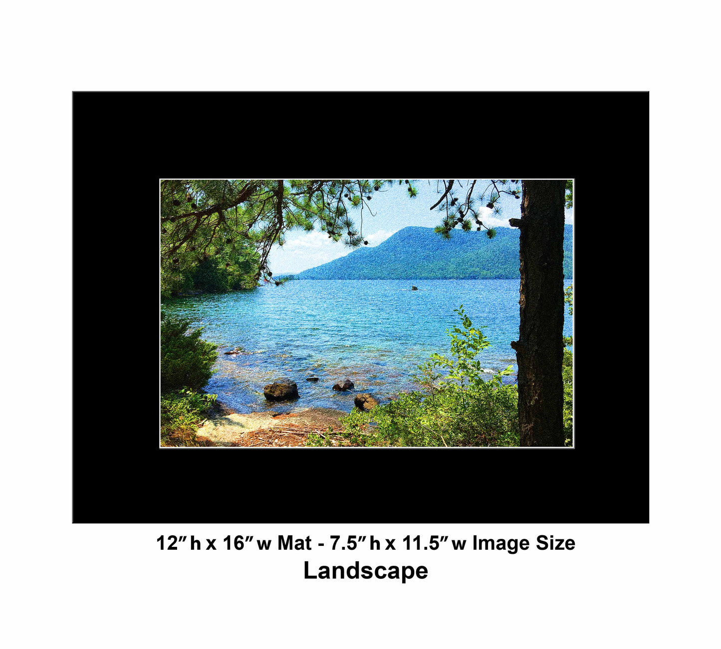 71 Tree Lake View IMG_3560
