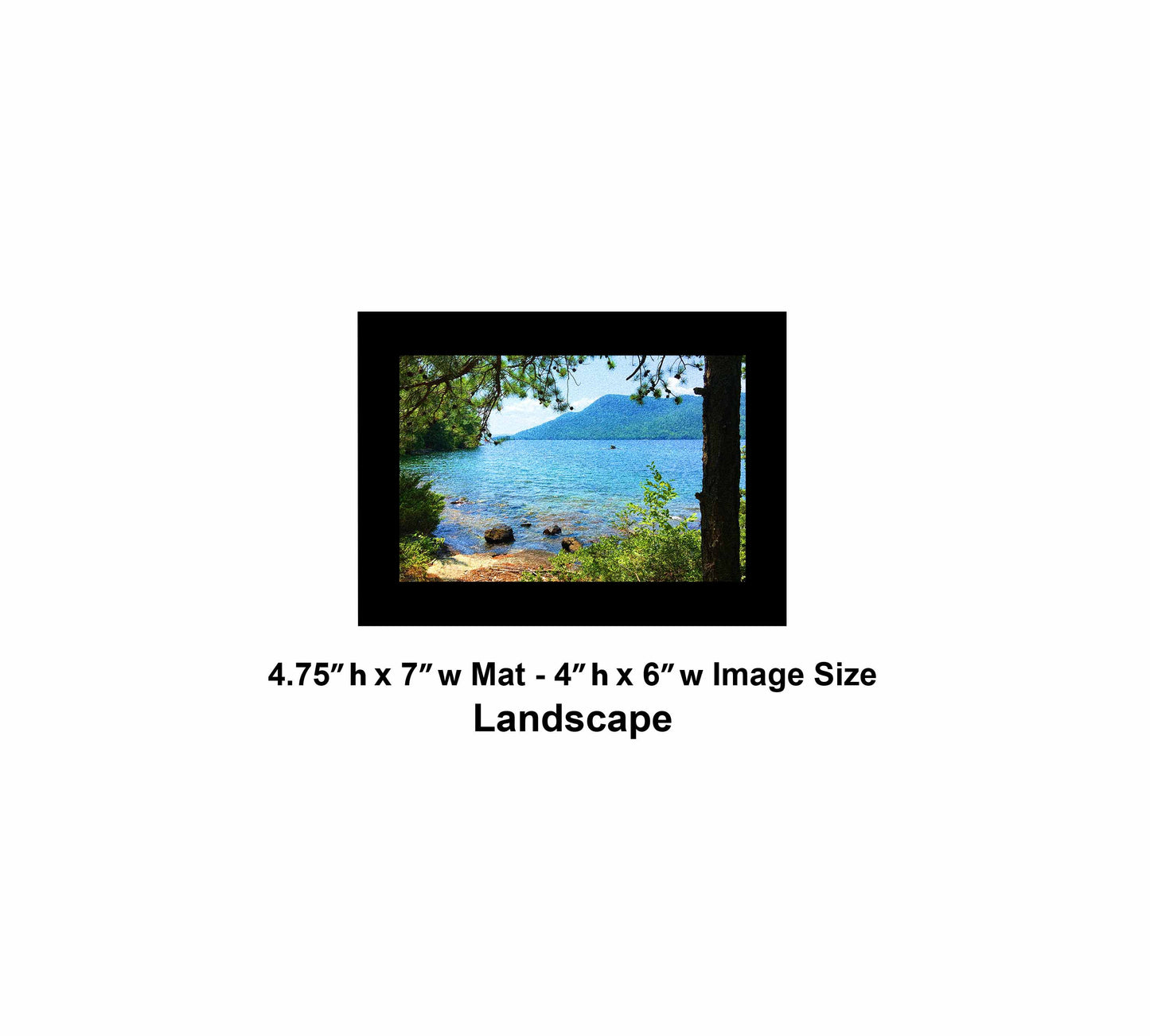71 Tree Lake View IMG_3560