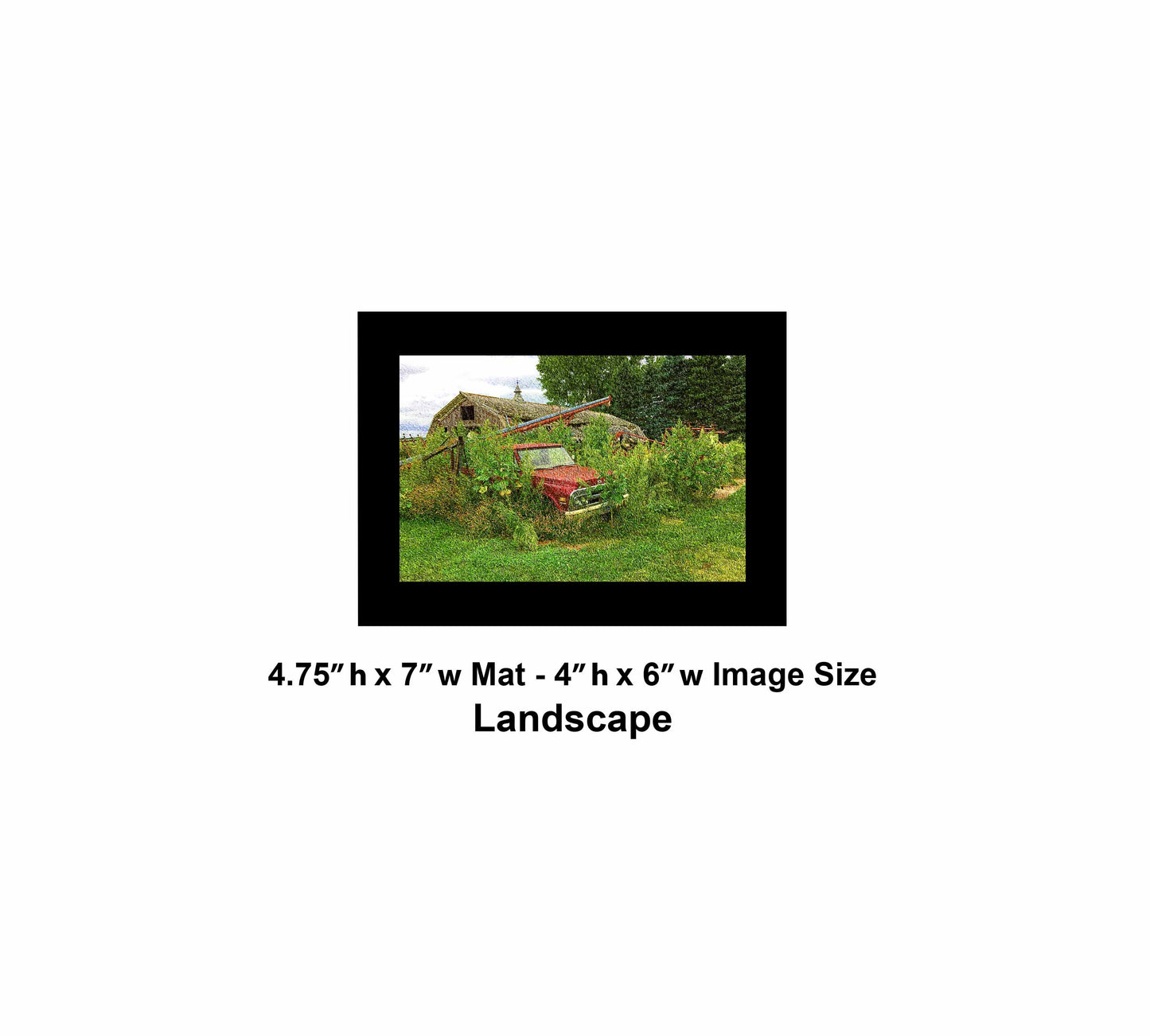 75 Old Farm Truck MG_3936