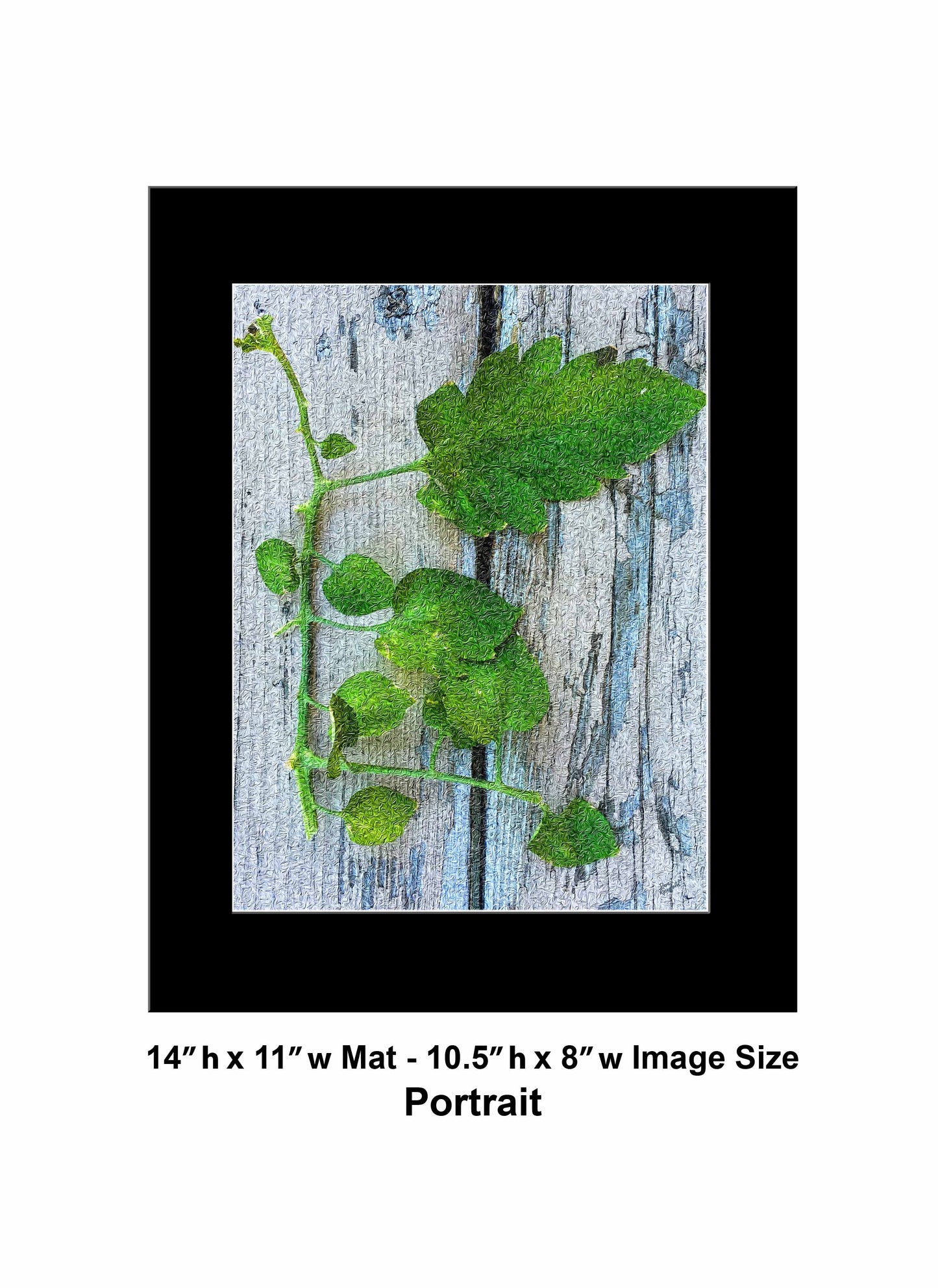 76 Old Wood Plant IMG Portrait