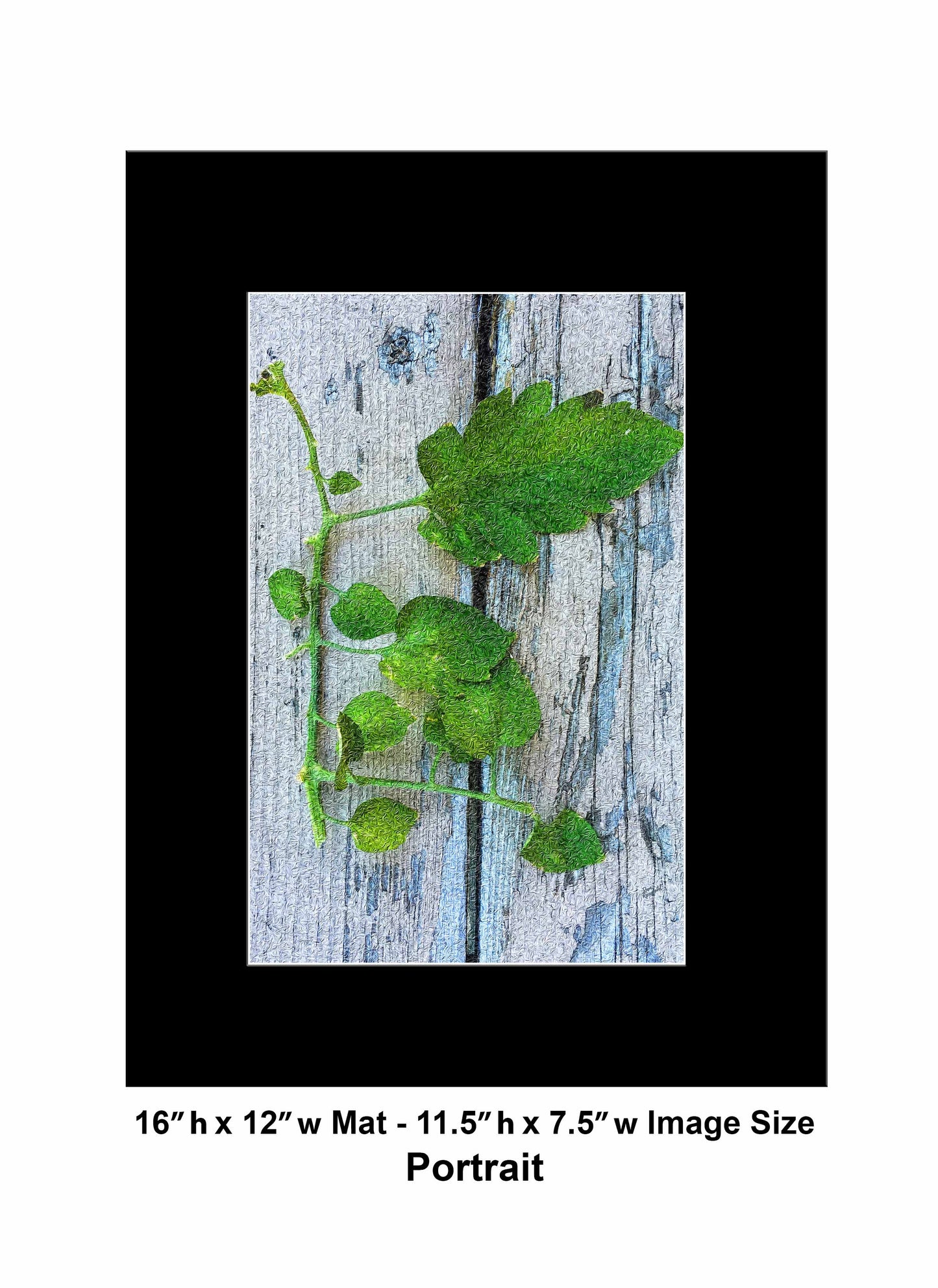 76 Old Wood Plant IMG Portrait