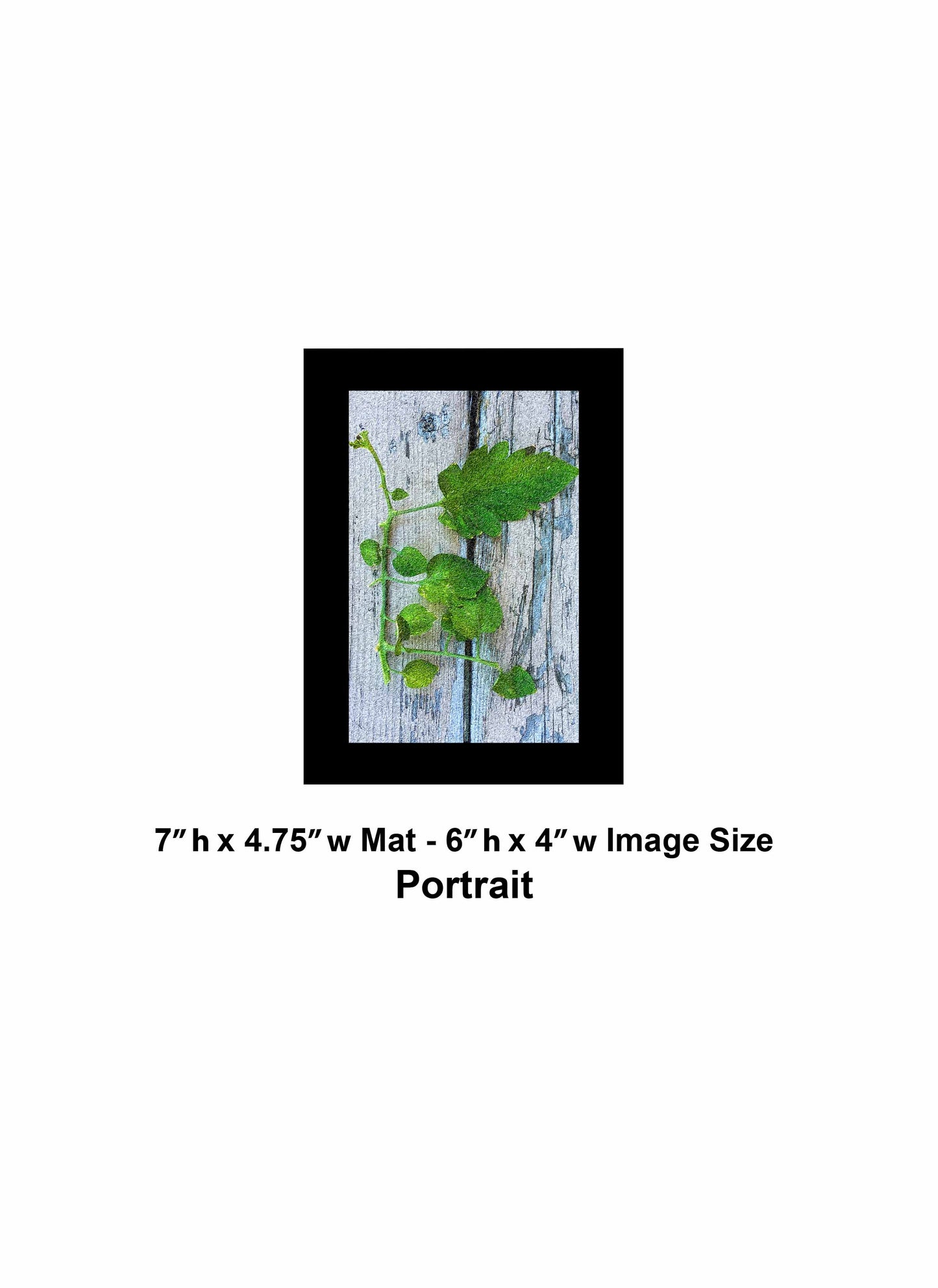 76 Old Wood Plant IMG Portrait