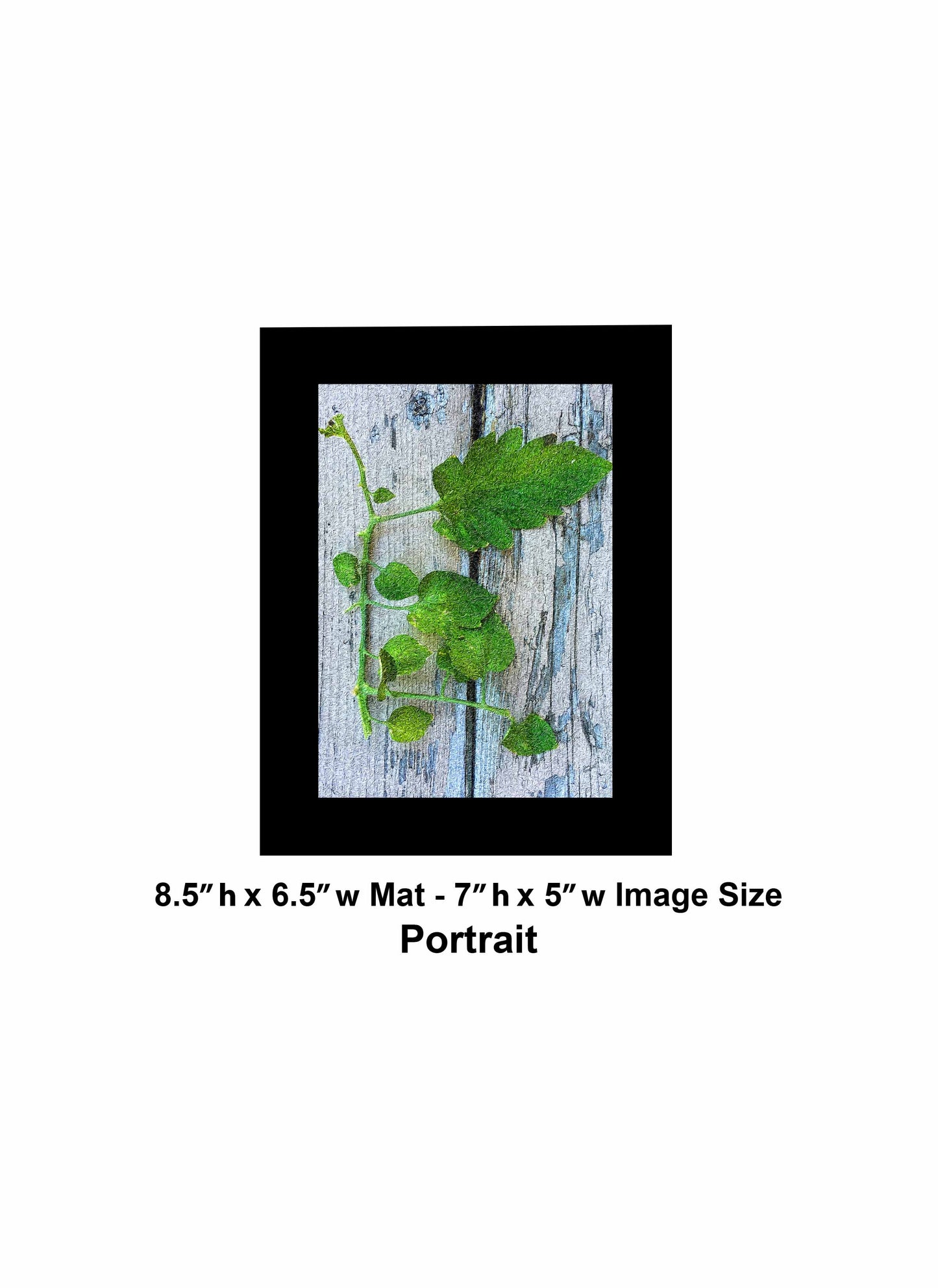 76 Old Wood Plant IMG Portrait