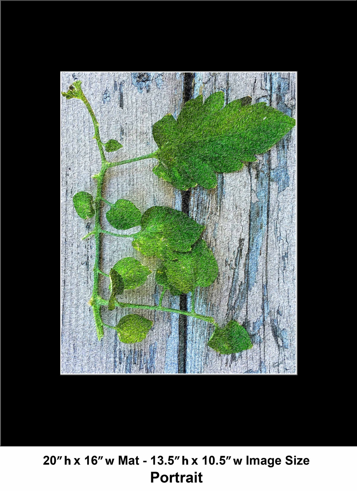 76 Old Wood Plant IMG Portrait