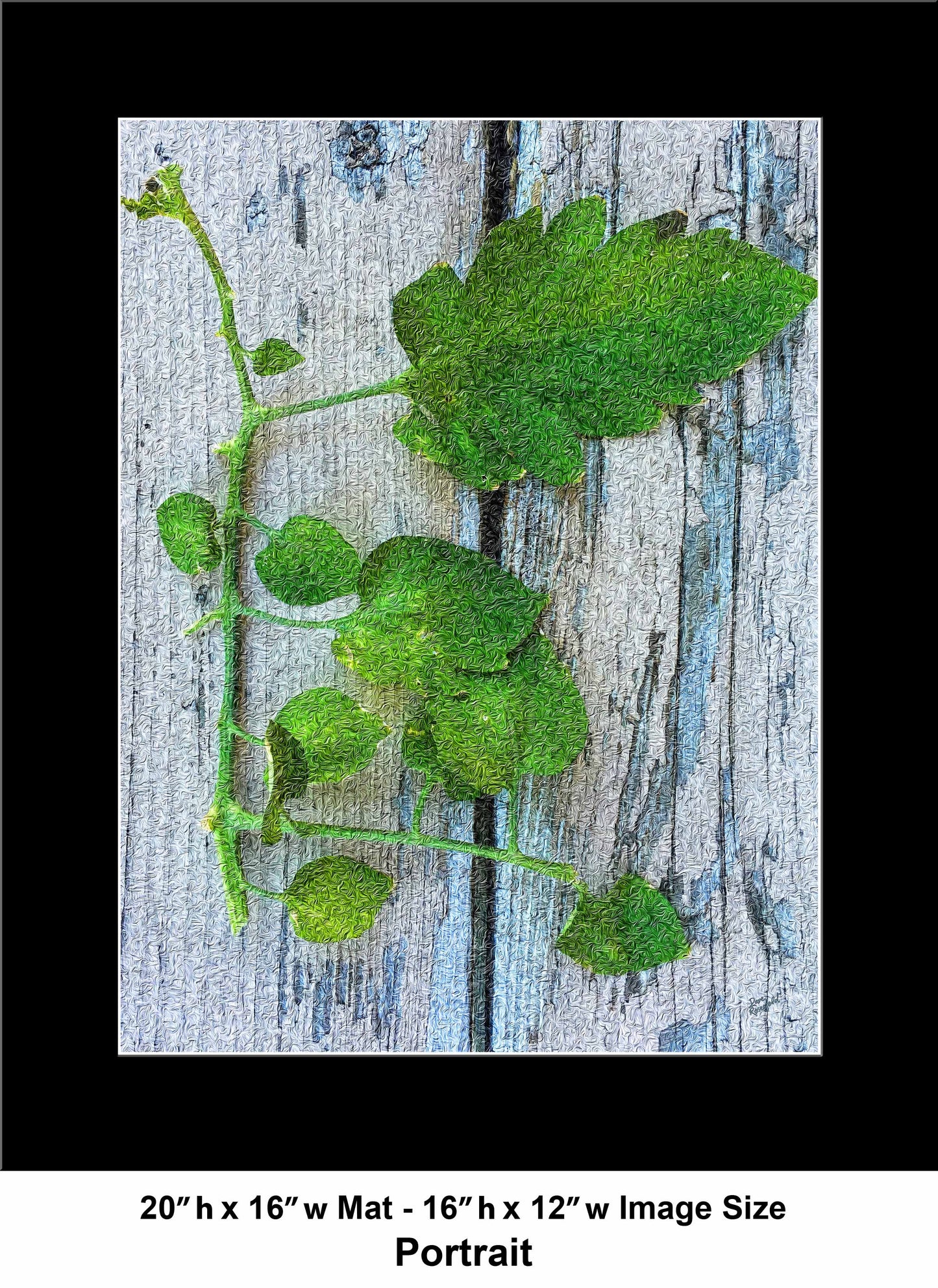 76 Old Wood Plant IMG Portrait