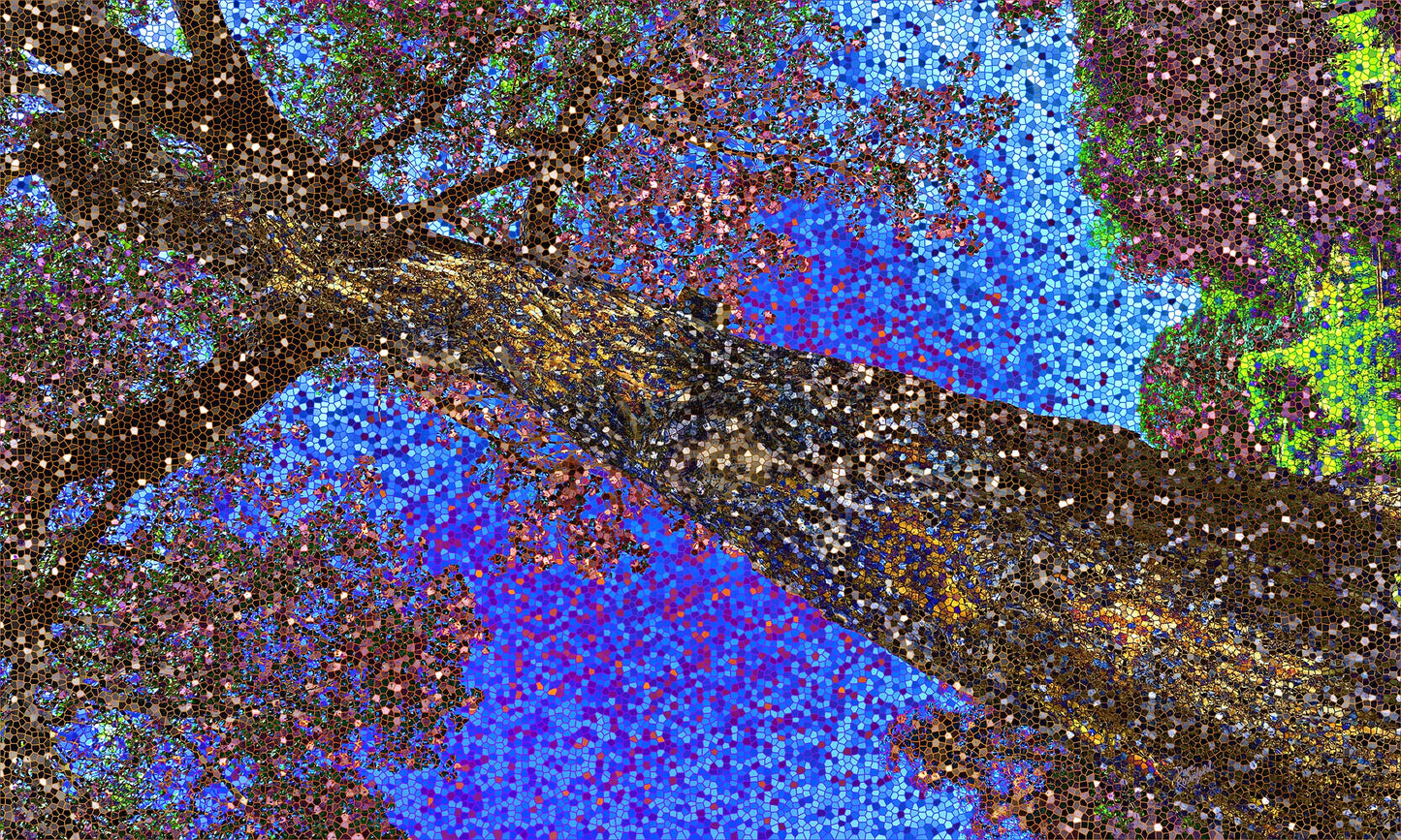89 Glass Dark Tree 3333 Landscape