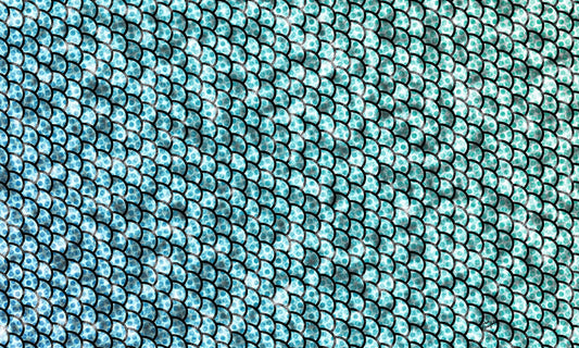 10 Light Blue Shell Pattern Landscape