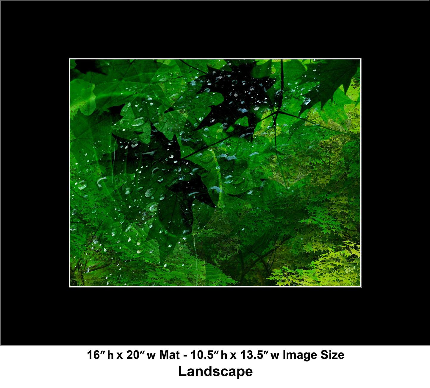 112 Leaves Mix Green Landscape