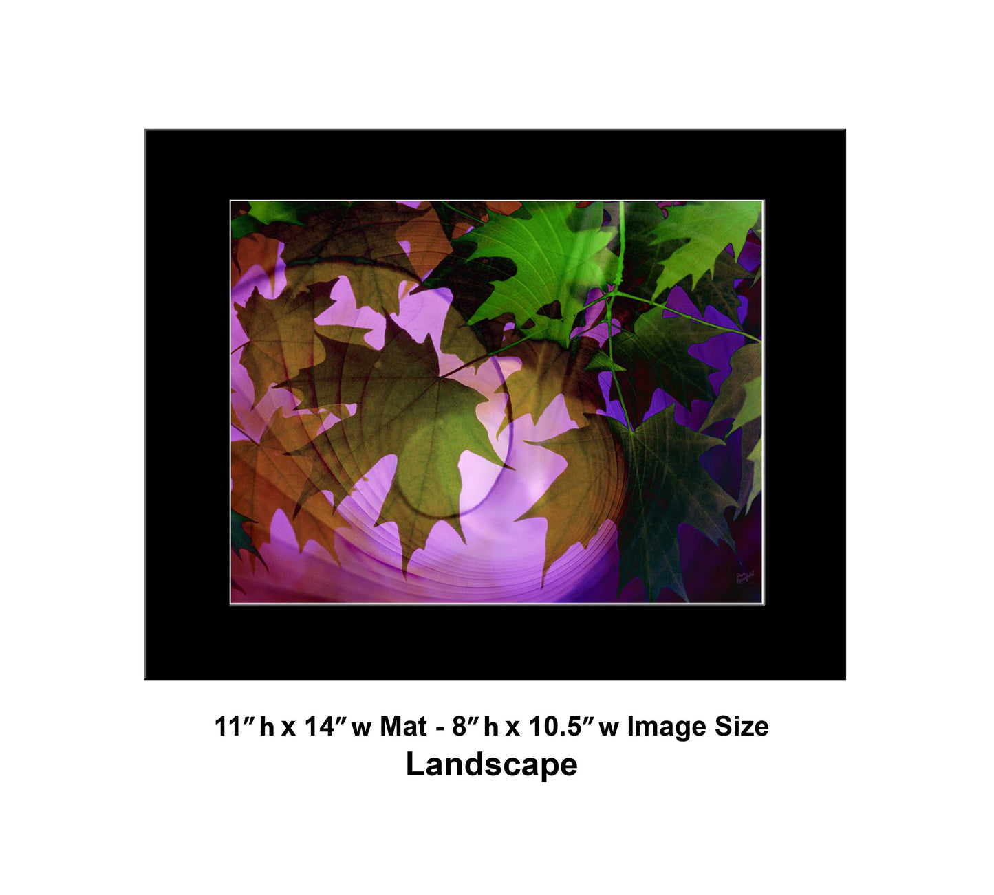 113 Leaves Fall Mix Landscape