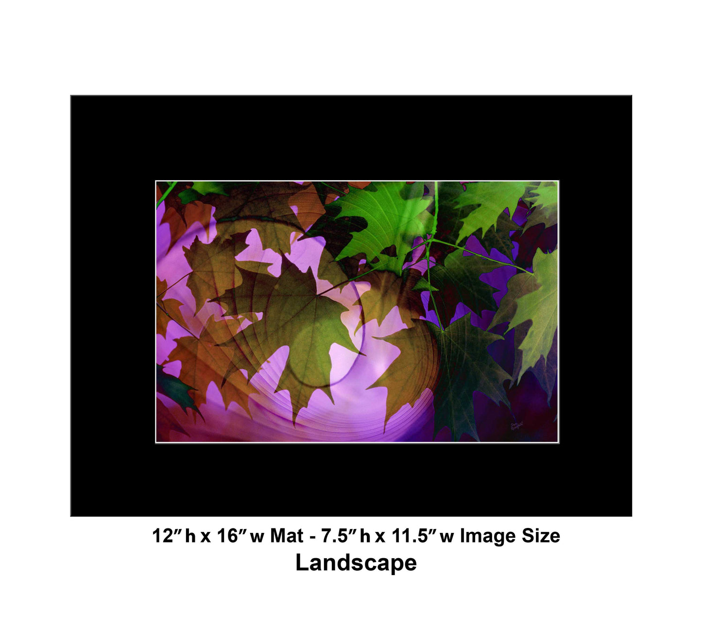 113 Leaves Fall Mix Landscape