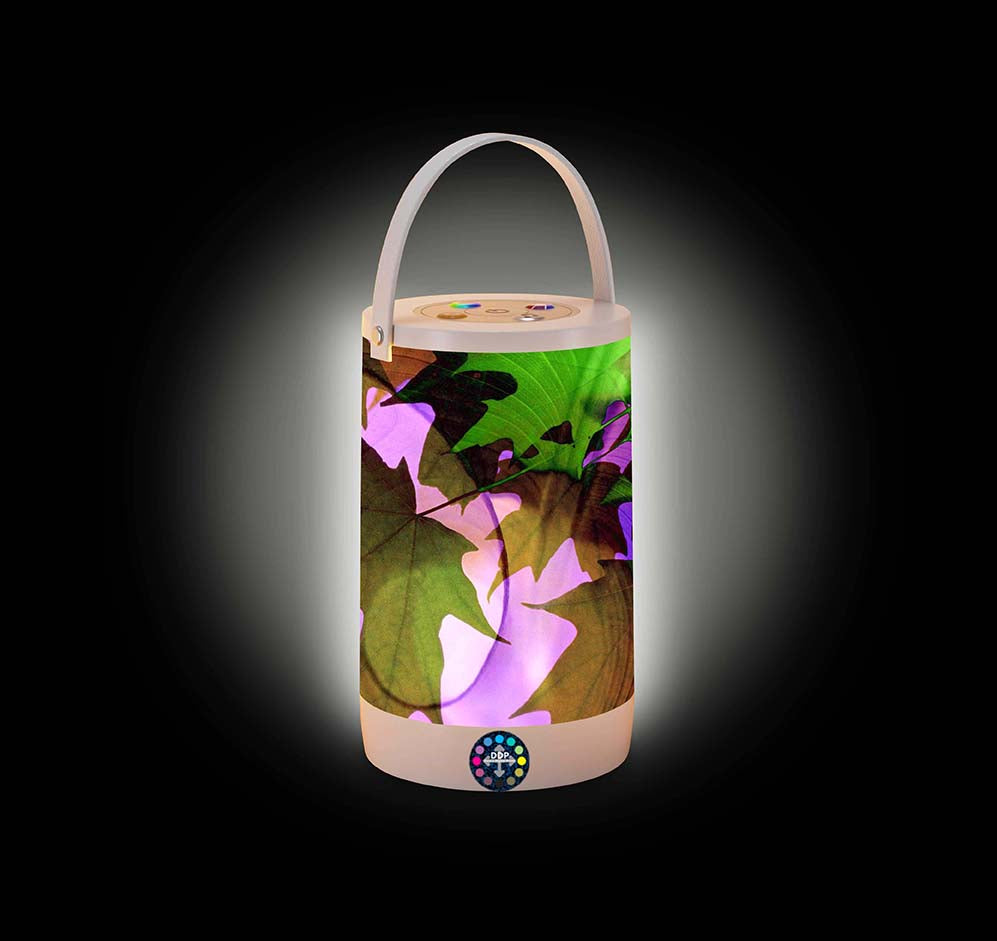 113 Leaves Fall Mix Landscape Small LED Lantern