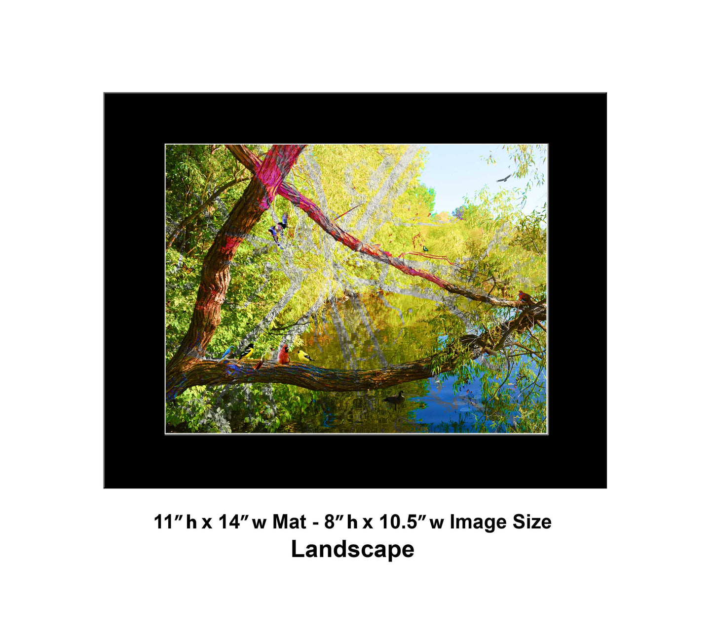 116 Tree Lake Mix Landscape