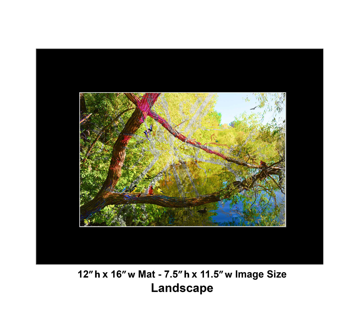 116 Tree Lake Mix Landscape