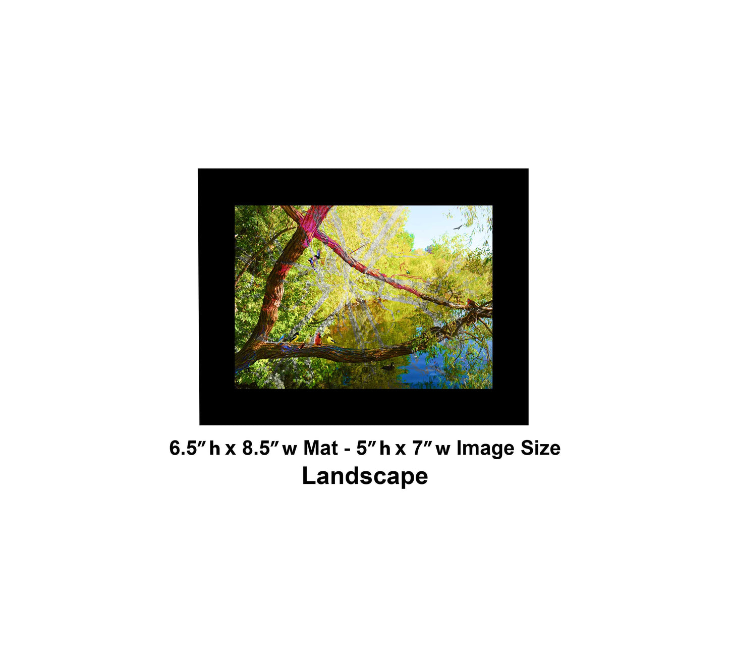 116 Tree Lake Mix Landscape