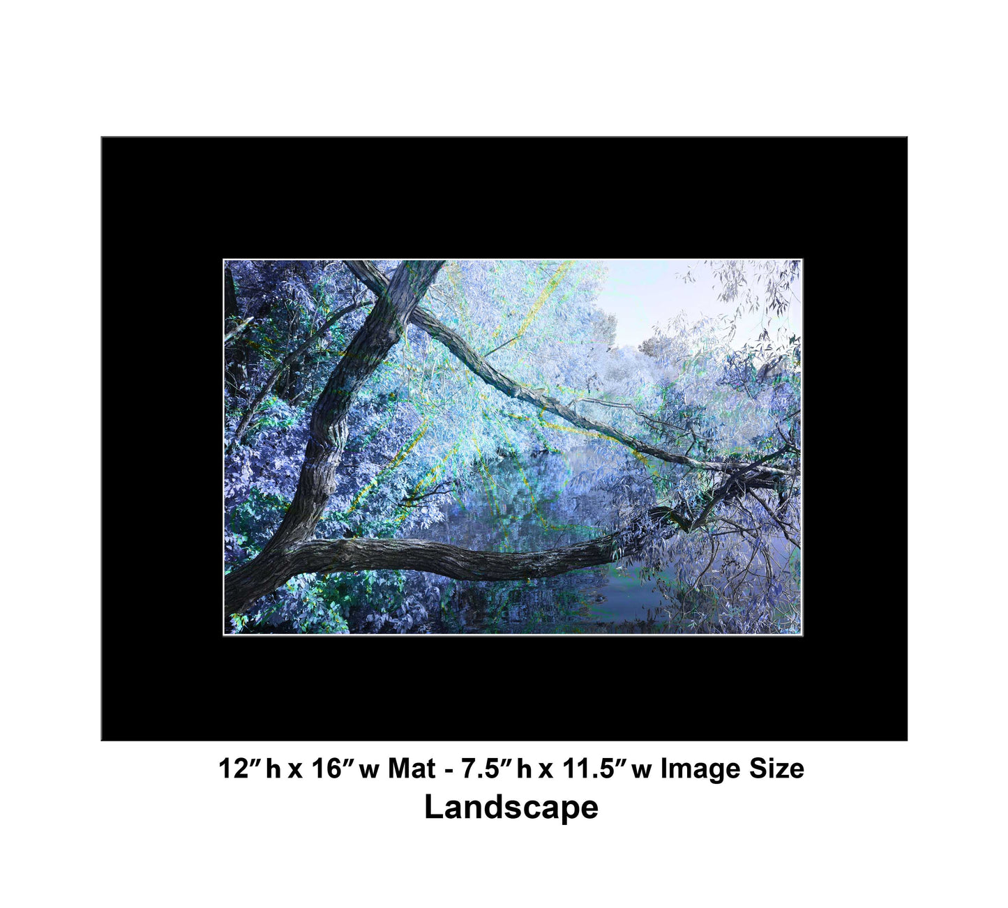 117 Tree Lake Cool Mix Landscape